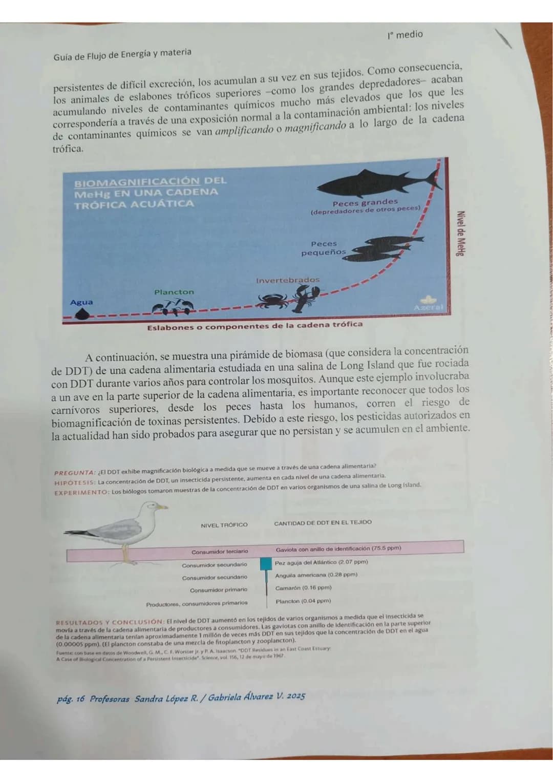 # ECOLOGÍA
Energia lumin
HC
2000
20000 año
Energis almacenada
coma blamasa
GUÍA DE ESTUDIO
"FLUJO DE ENERGIA
MATERIA EN
LOS ECOSISTEMASS
Col