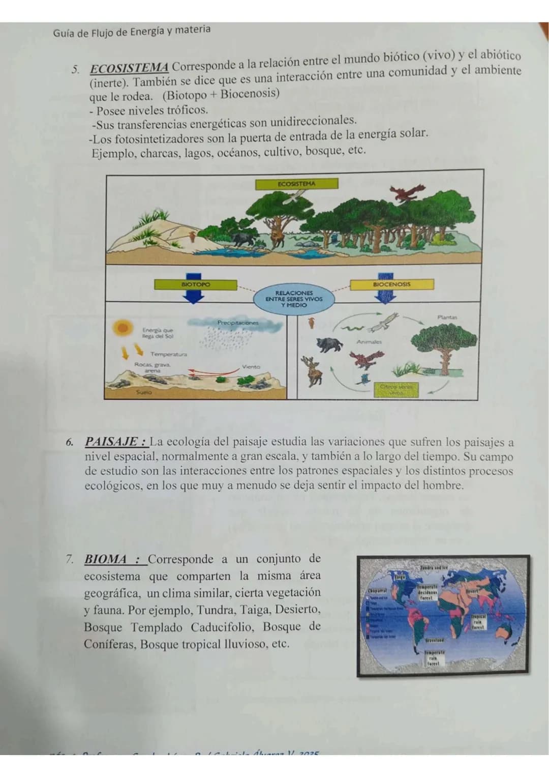 # ECOLOGÍA
Energia lumin
HC
2000
20000 año
Energis almacenada
coma blamasa
GUÍA DE ESTUDIO
"FLUJO DE ENERGIA
MATERIA EN
LOS ECOSISTEMASS
Col