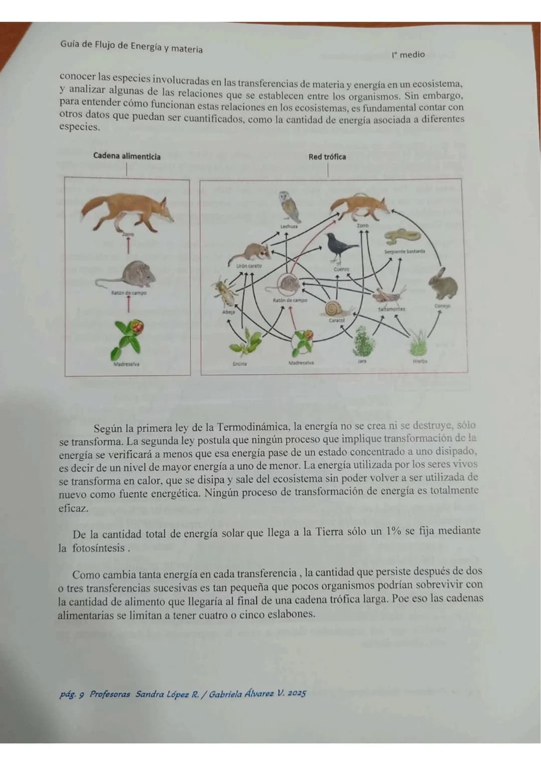 # ECOLOGÍA
Energia lumin
HC
2000
20000 año
Energis almacenada
coma blamasa
GUÍA DE ESTUDIO
"FLUJO DE ENERGIA
MATERIA EN
LOS ECOSISTEMASS
Col