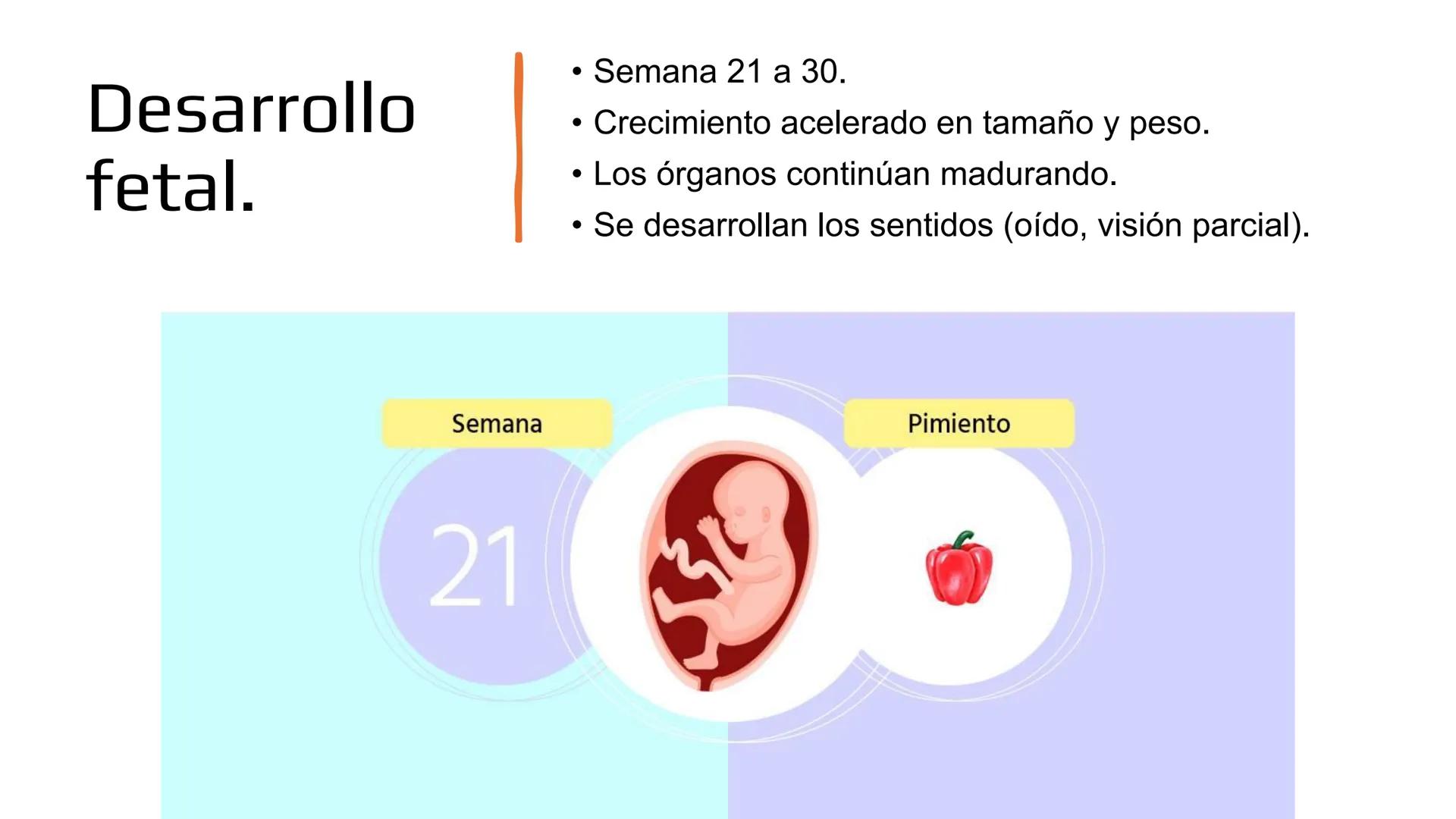 Embarazo: Desde la
fecundación hasta el
parto.
Objetivo: Comprender las etapas del embarazo, desde la fecundación hasta el parto,
reconocie