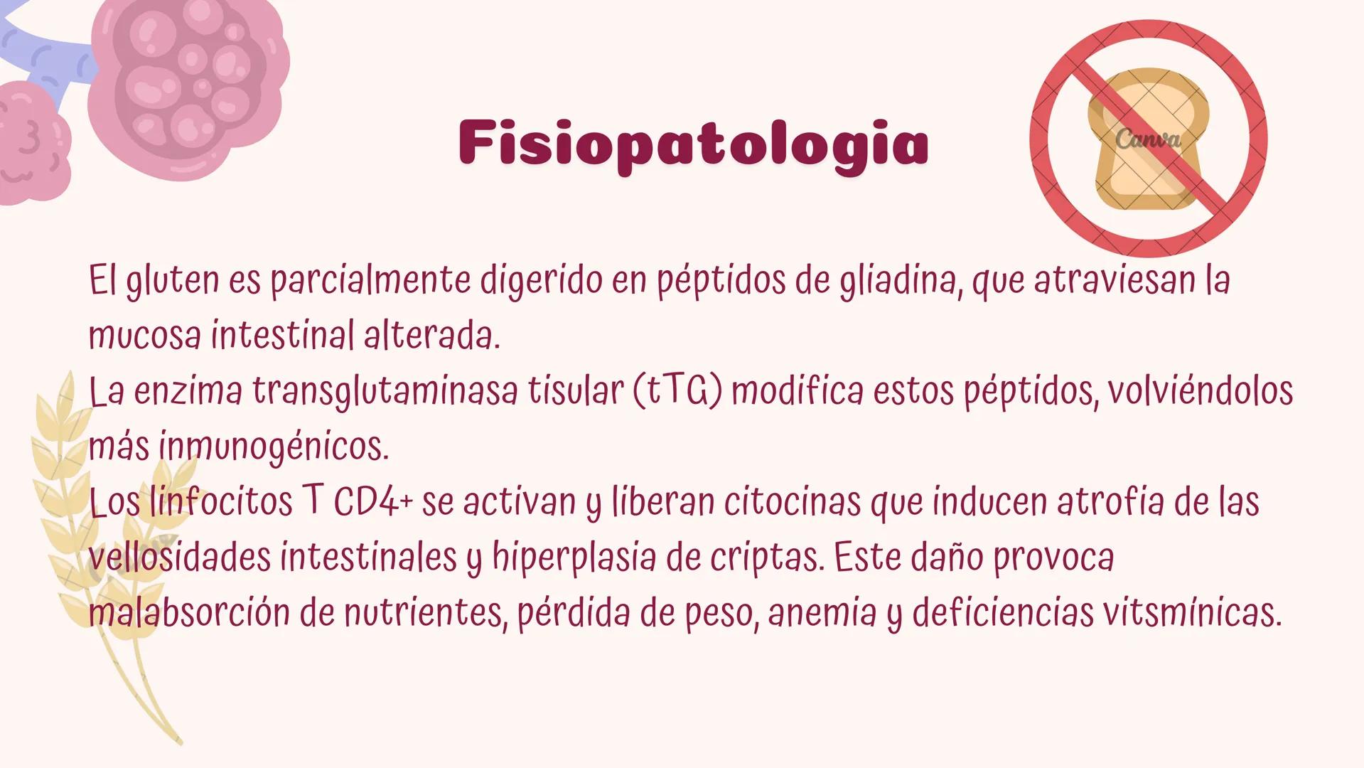 # Fisiopatologia de
enfermidades
autoimunes
Constanza Maureira # Introducción
Las enfermedades autoinmunes constituyen un grupo de trastor