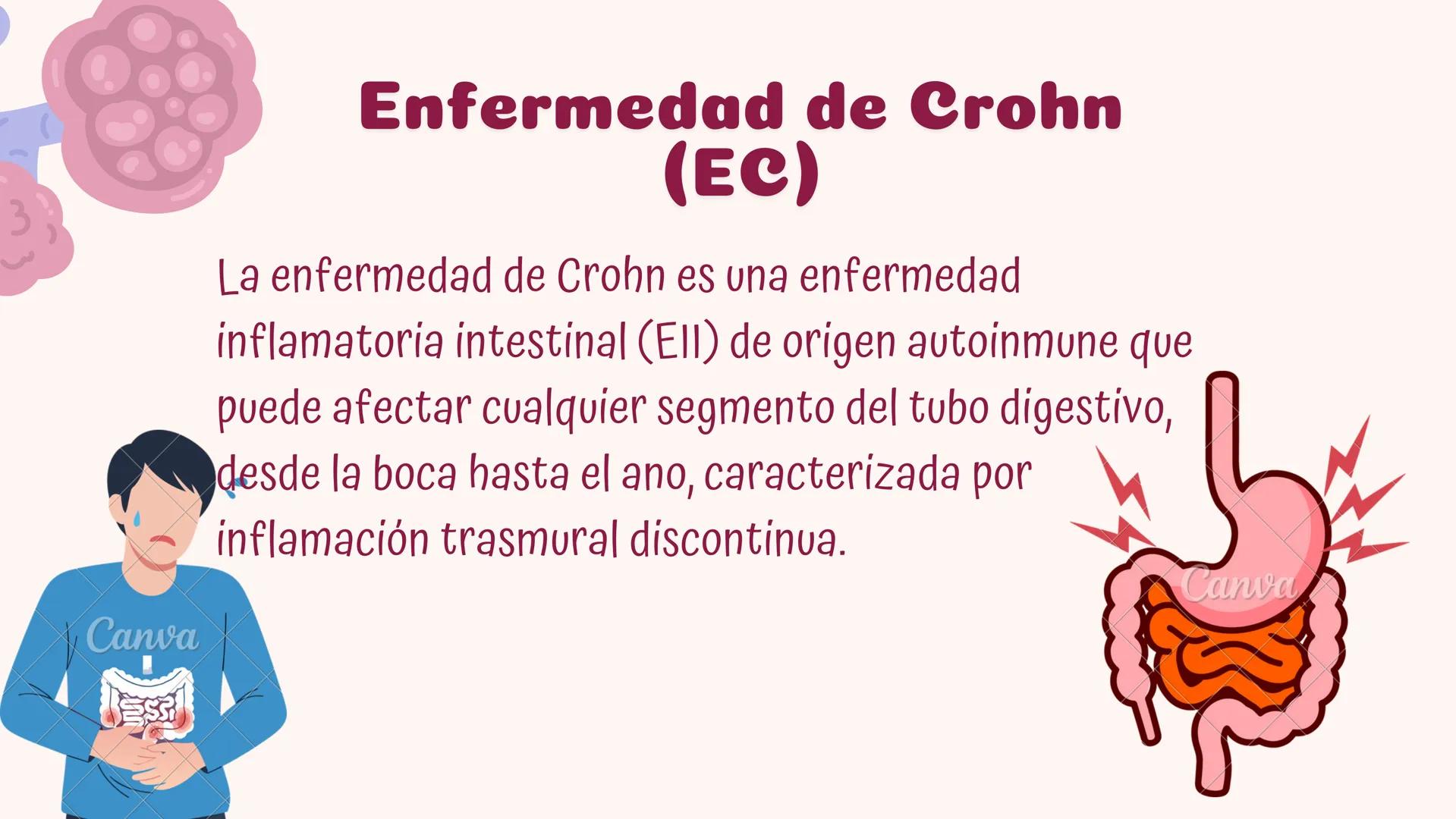 # Fisiopatologia de
enfermidades
autoimunes
Constanza Maureira # Introducción
Las enfermedades autoinmunes constituyen un grupo de trastor