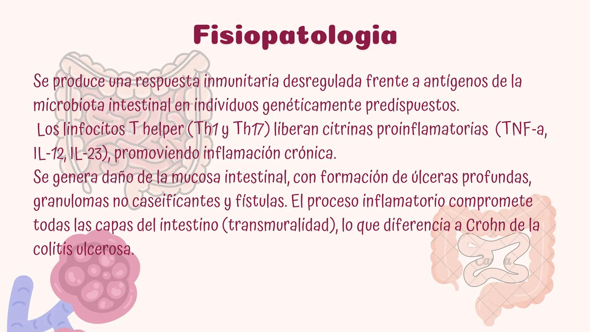 # Fisiopatologia de
enfermidades
autoimunes
Constanza Maureira # Introducción
Las enfermedades autoinmunes constituyen un grupo de trastor