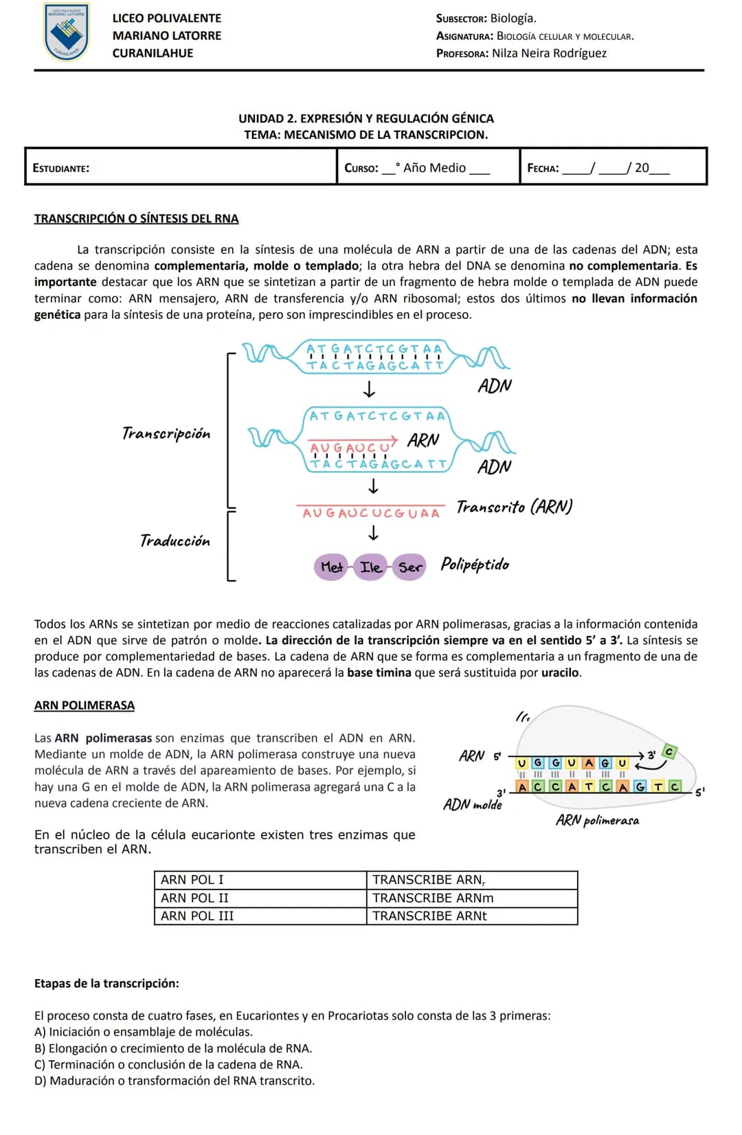 # LICEO POLIVALENTE
MARIANO LATORRE
CURANILAHUE
SUBSECTOR: Biología.
ASIGNATURA: BIOLOGÍA CELULAR Y MOLECULAR.
PROFESORA: Nilza Neira Rodrí