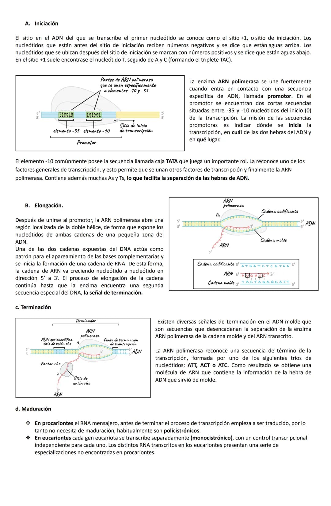# LICEO POLIVALENTE
MARIANO LATORRE
CURANILAHUE
SUBSECTOR: Biología.
ASIGNATURA: BIOLOGÍA CELULAR Y MOLECULAR.
PROFESORA: Nilza Neira Rodrí