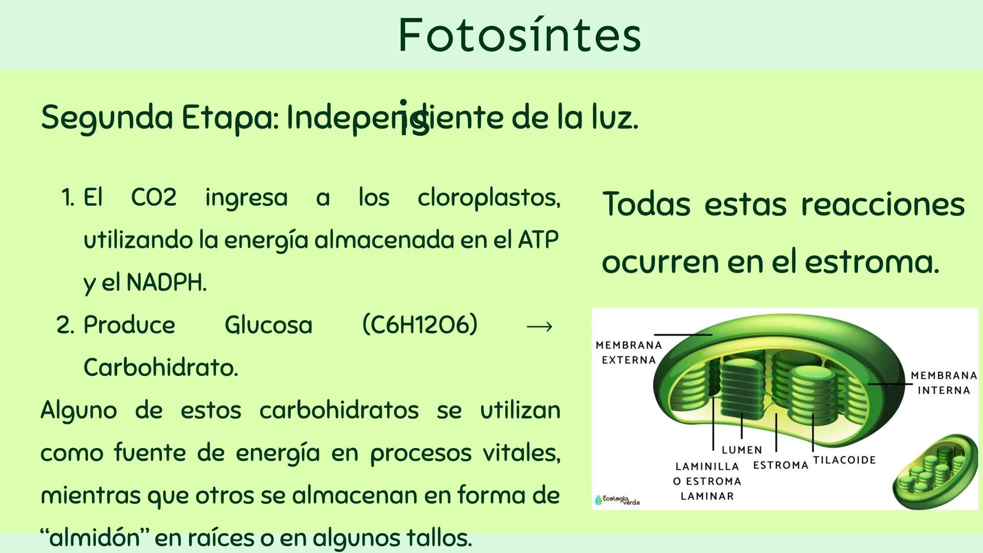 Producció y uso de la
energía.
n
Profesor: Sebastián Molina Orellana Objetiv
OA 07: Explicar, por medio de una
investigación, el rol de la