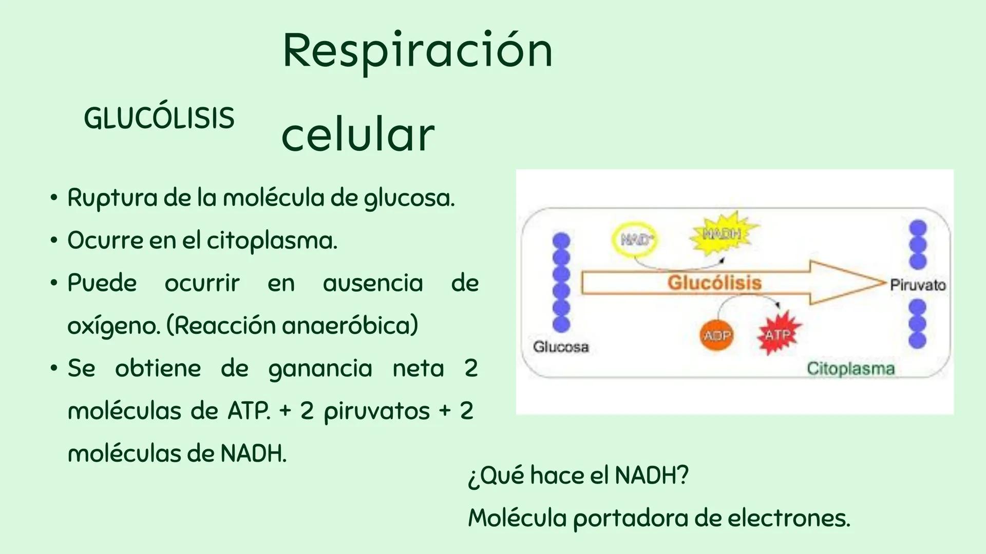 Producció y uso de la
energía.
n
Profesor: Sebastián Molina Orellana Objetiv
OA 07: Explicar, por medio de una
investigación, el rol de la