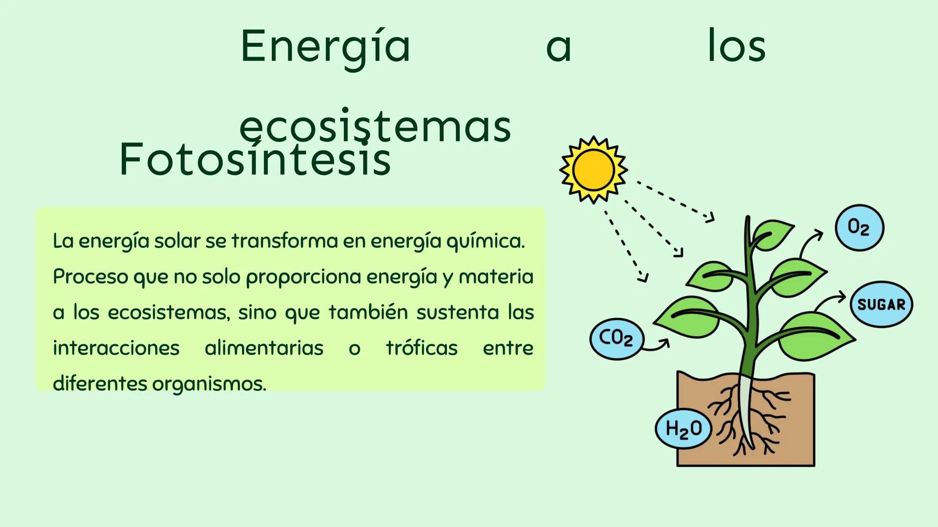 Producció y uso de la
energía.
n
Profesor: Sebastián Molina Orellana Objetiv
OA 07: Explicar, por medio de una
investigación, el rol de la