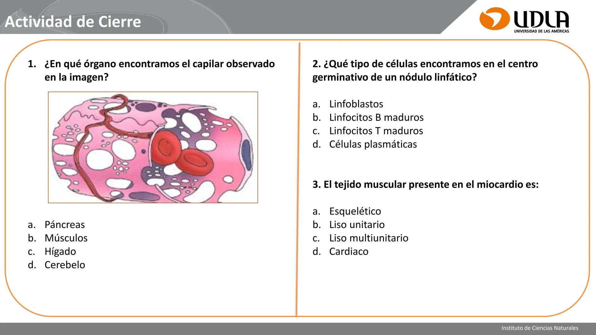 INSTITUTO DE CIENCIAS NATURALES
ENFERMERÍA Y FONOAUDIOLOGÍA
UDLA
UNIVERSIDAD DE LAS AMERICAS
CBI202 - HISTOEMBRIOLOGÍA
UNIDAD IV
CLASE 13