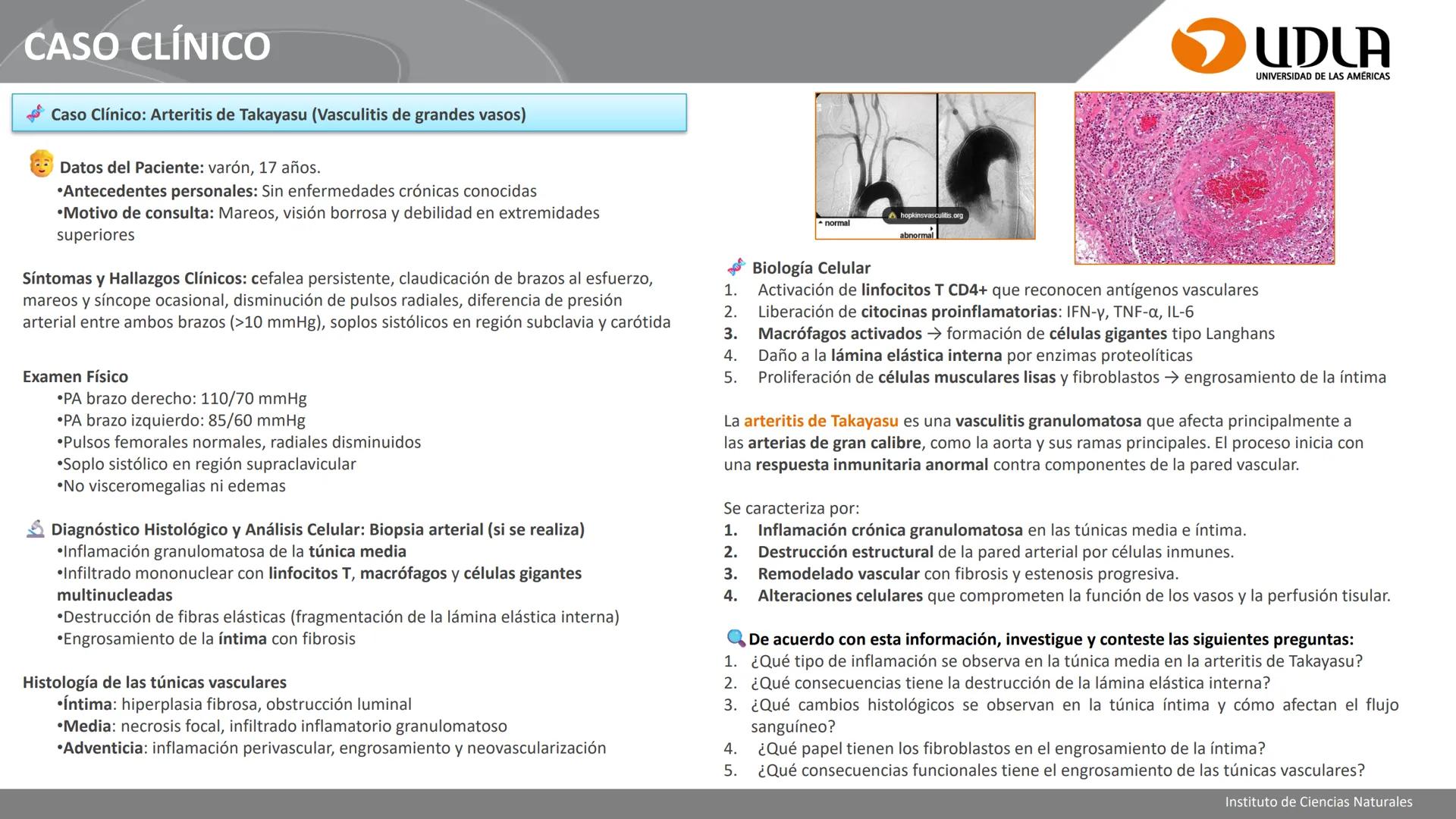 INSTITUTO DE CIENCIAS NATURALES
ENFERMERÍA Y FONOAUDIOLOGÍA
UDLA
UNIVERSIDAD DE LAS AMERICAS
CBI202 - HISTOEMBRIOLOGÍA
UNIDAD IV
CLASE 13