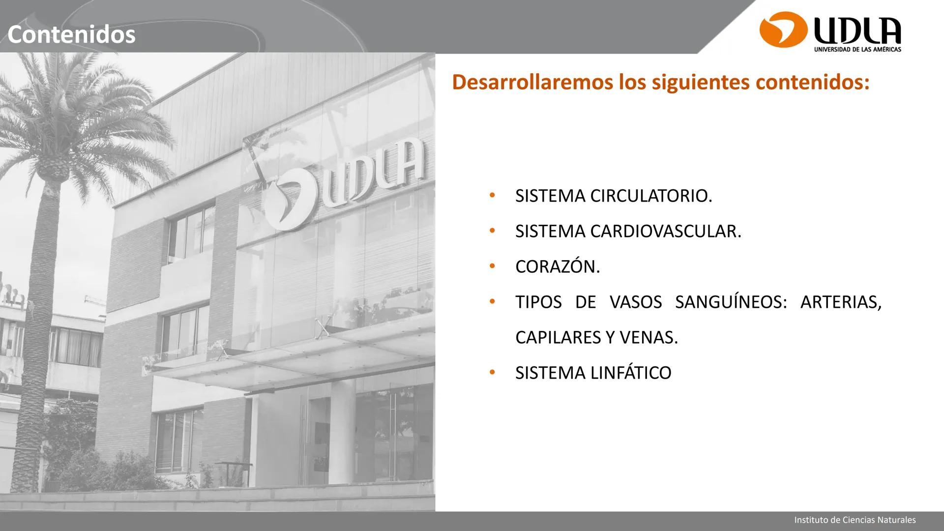 INSTITUTO DE CIENCIAS NATURALES
ENFERMERÍA Y FONOAUDIOLOGÍA
UDLA
UNIVERSIDAD DE LAS AMERICAS
CBI202 - HISTOEMBRIOLOGÍA
UNIDAD IV
CLASE 13