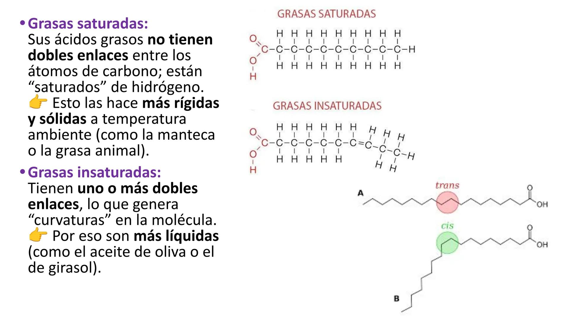 # QUÍMICA ORGÁNICA
COMPUESTOS ORGÁNICOS: NOMENCLATURA DE HIDROCARBUROS
OBJETIVO: Identificar hidrocarburos y nombrarlos según las reglas d