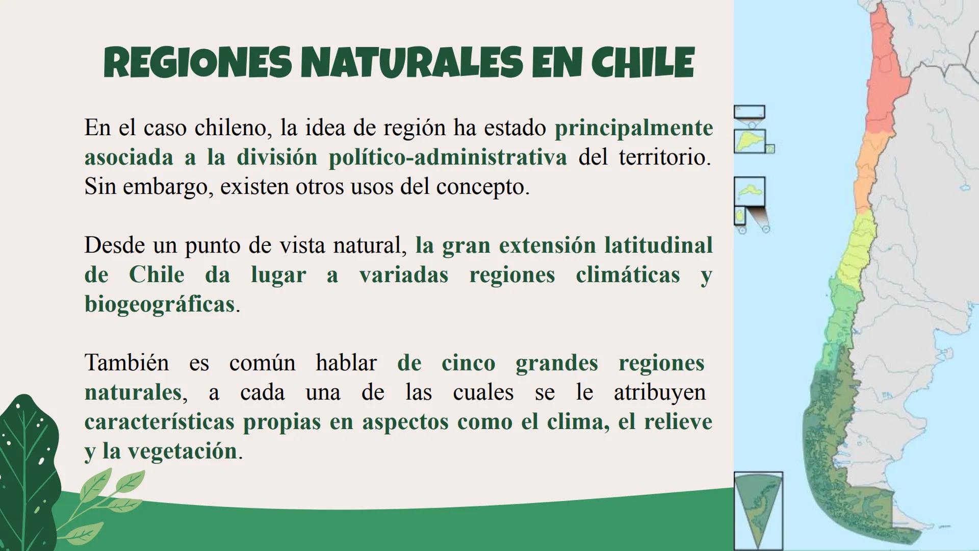 LA REGIÓN
EN AMÉRICA Y CHILE
8° BÁSICO
¿Cómo contribuir a un mejor desarrollo regional? # GEOGRAFÍA Y CONCEPTOS GEOGRÁFICOS
La palabra geog