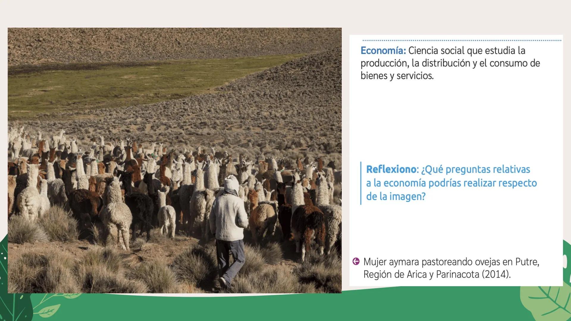LA REGIÓN
EN AMÉRICA Y CHILE
8° BÁSICO
¿Cómo contribuir a un mejor desarrollo regional? # GEOGRAFÍA Y CONCEPTOS GEOGRÁFICOS
La palabra geog