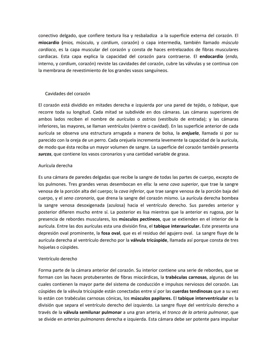 # SISTEMA CARDIOVASCULAR
El sistema circulatorio es el sistema de trasporte del cuerpo. Constituye un enlace, directo e
indirecto, entre ca