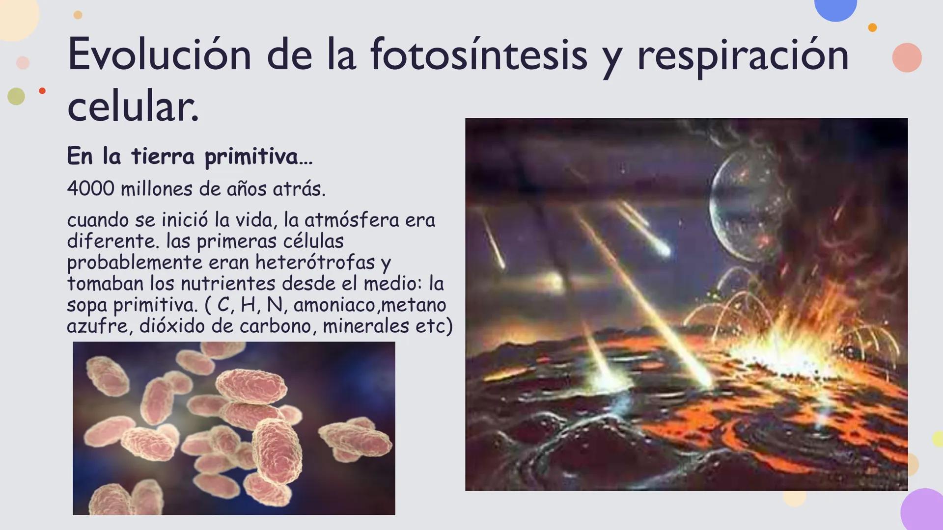 OBJETIVO DE LA CLASE:
•
Comprender que, en el ecosistema, los organismos ocupan
niveles tróficos de acuerdo con el modo en que obtienen su
a