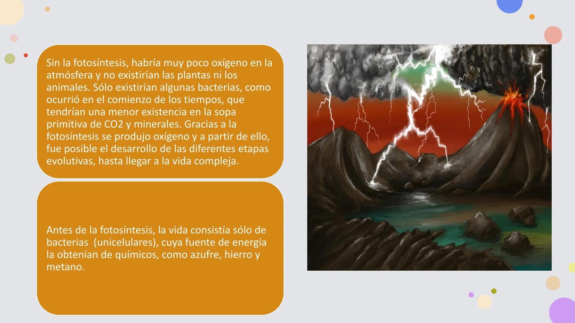 OBJETIVO DE LA CLASE:
•
Comprender que, en el ecosistema, los organismos ocupan
niveles tróficos de acuerdo con el modo en que obtienen su
a