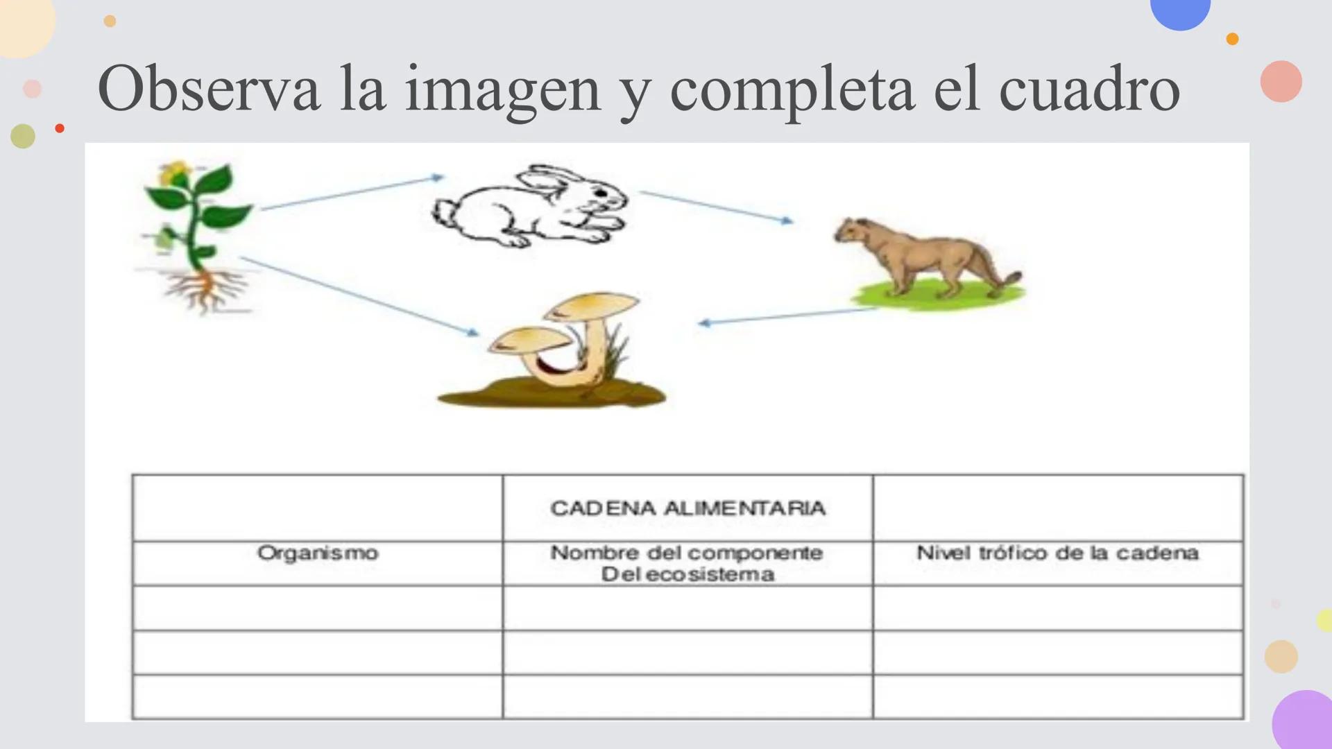 OBJETIVO DE LA CLASE:
•
Comprender que, en el ecosistema, los organismos ocupan
niveles tróficos de acuerdo con el modo en que obtienen su
a