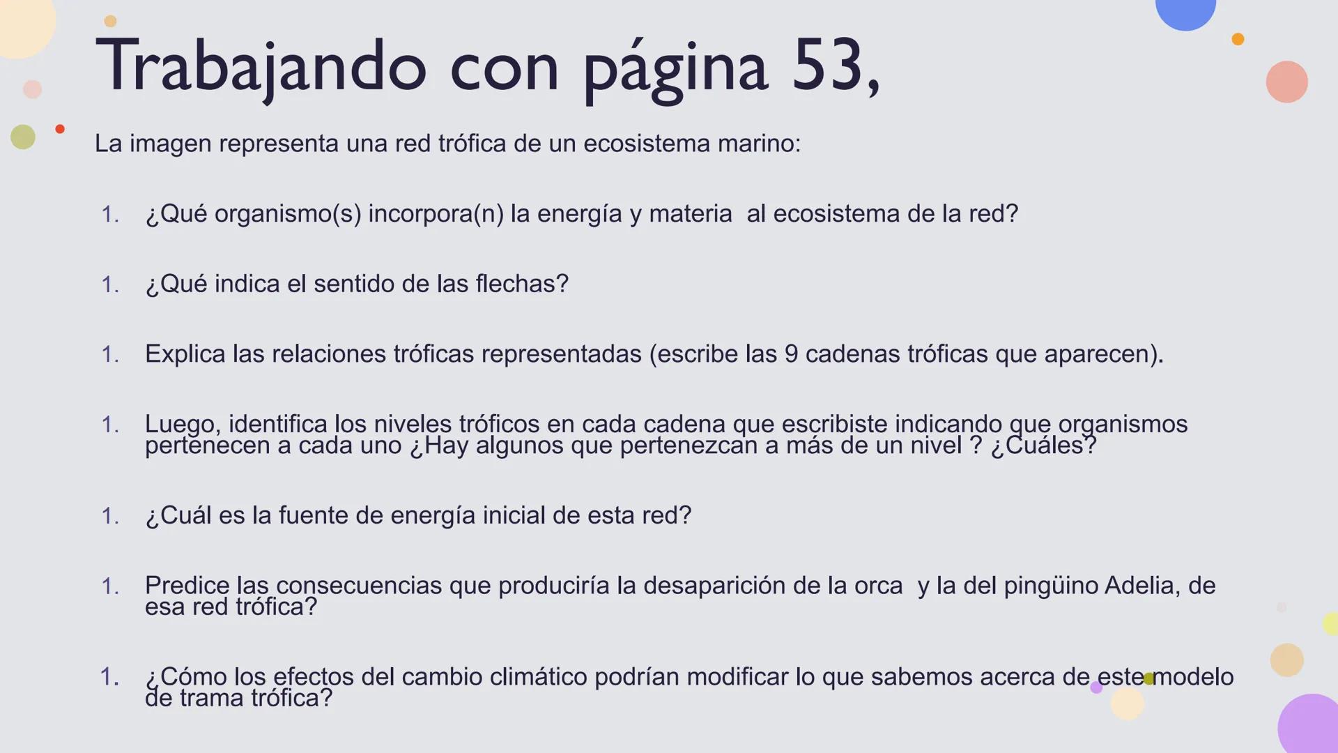OBJETIVO DE LA CLASE:
•
Comprender que, en el ecosistema, los organismos ocupan
niveles tróficos de acuerdo con el modo en que obtienen su
a