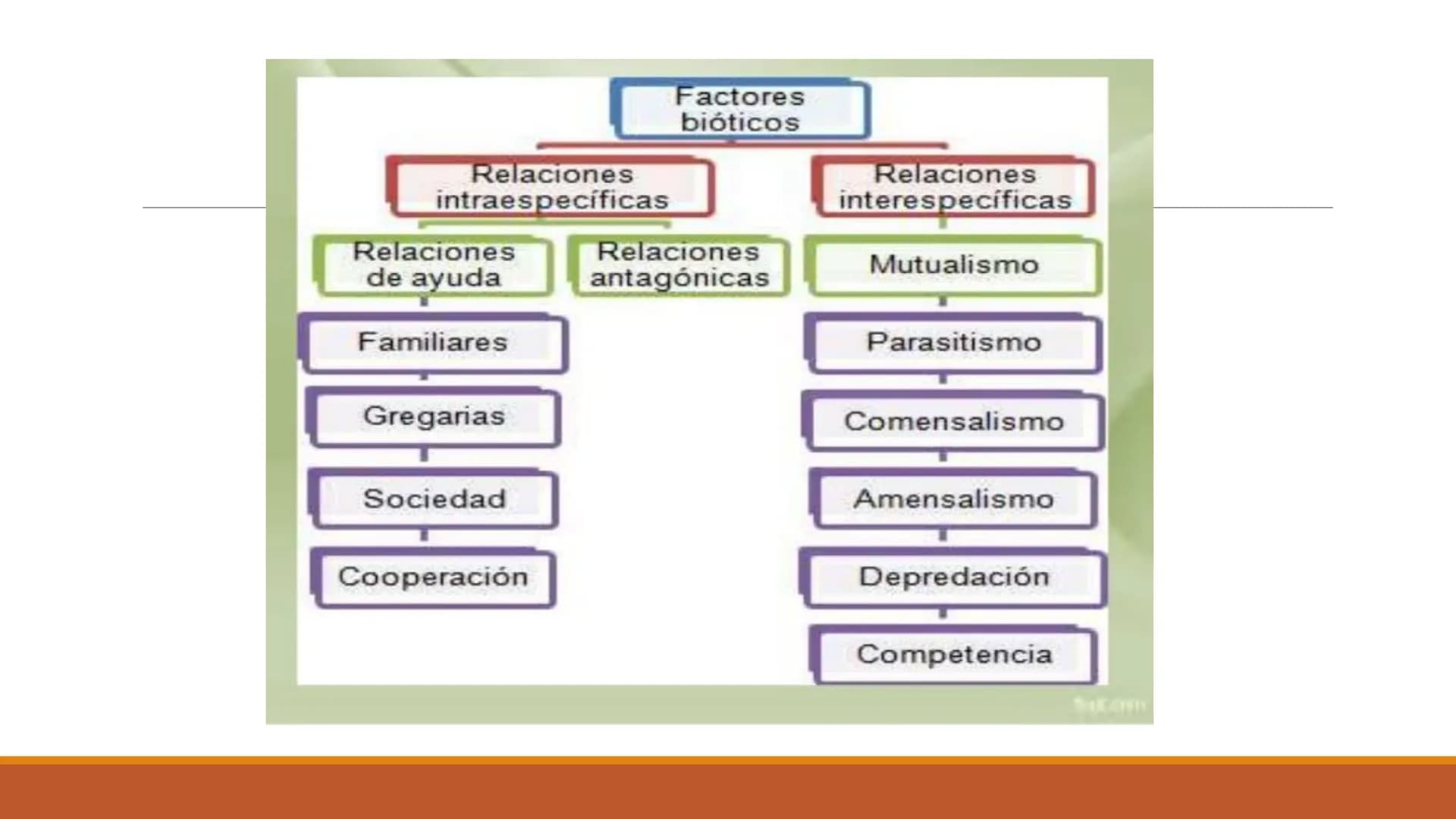 INTERACCIONES
INTRAESPECÍFICAS E
INTERESPECÍFICAS
RECONOCER LAS RELACIONES QUE SE ESTABLECEN ENTRE LOS
COMPONENTES DE UN ECOSISTEMA. Factor