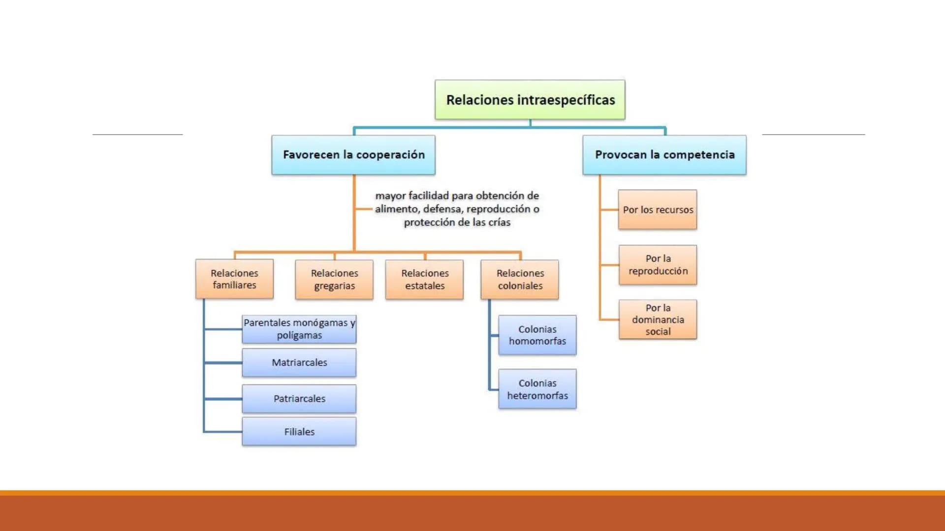 INTERACCIONES
INTRAESPECÍFICAS E
INTERESPECÍFICAS
RECONOCER LAS RELACIONES QUE SE ESTABLECEN ENTRE LOS
COMPONENTES DE UN ECOSISTEMA. Factor