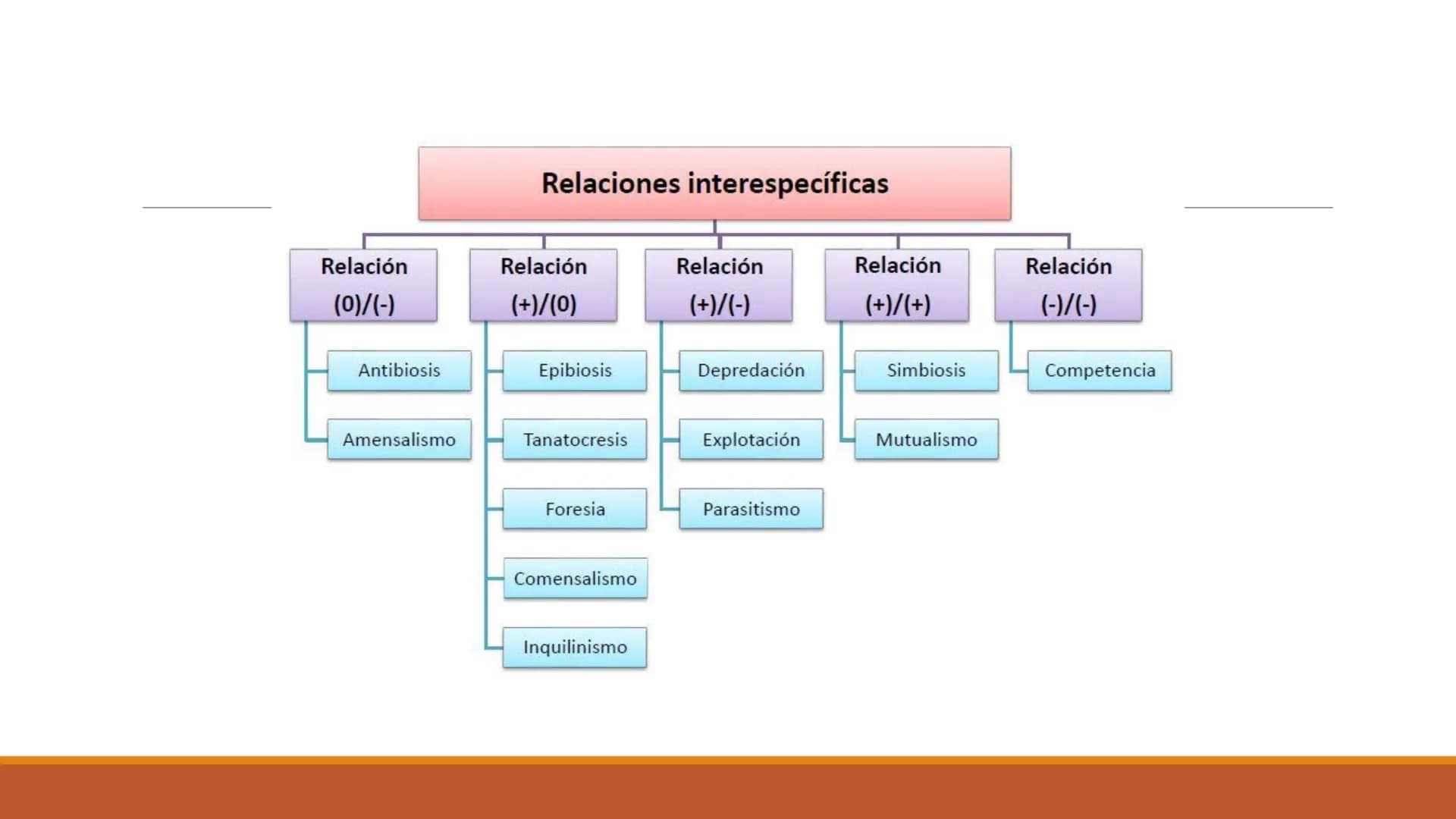 INTERACCIONES
INTRAESPECÍFICAS E
INTERESPECÍFICAS
RECONOCER LAS RELACIONES QUE SE ESTABLECEN ENTRE LOS
COMPONENTES DE UN ECOSISTEMA. Factor