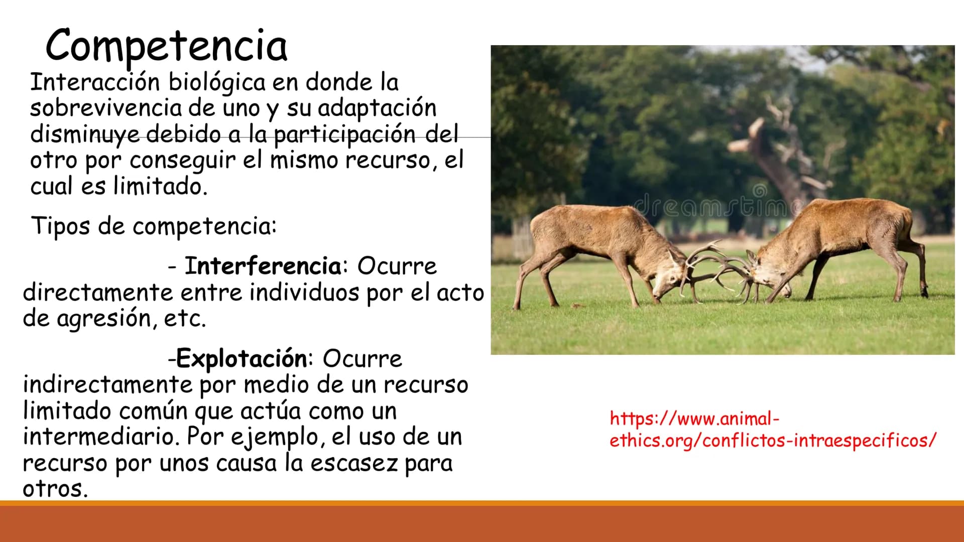 INTERACCIONES
INTRAESPECÍFICAS E
INTERESPECÍFICAS
RECONOCER LAS RELACIONES QUE SE ESTABLECEN ENTRE LOS
COMPONENTES DE UN ECOSISTEMA. Factor