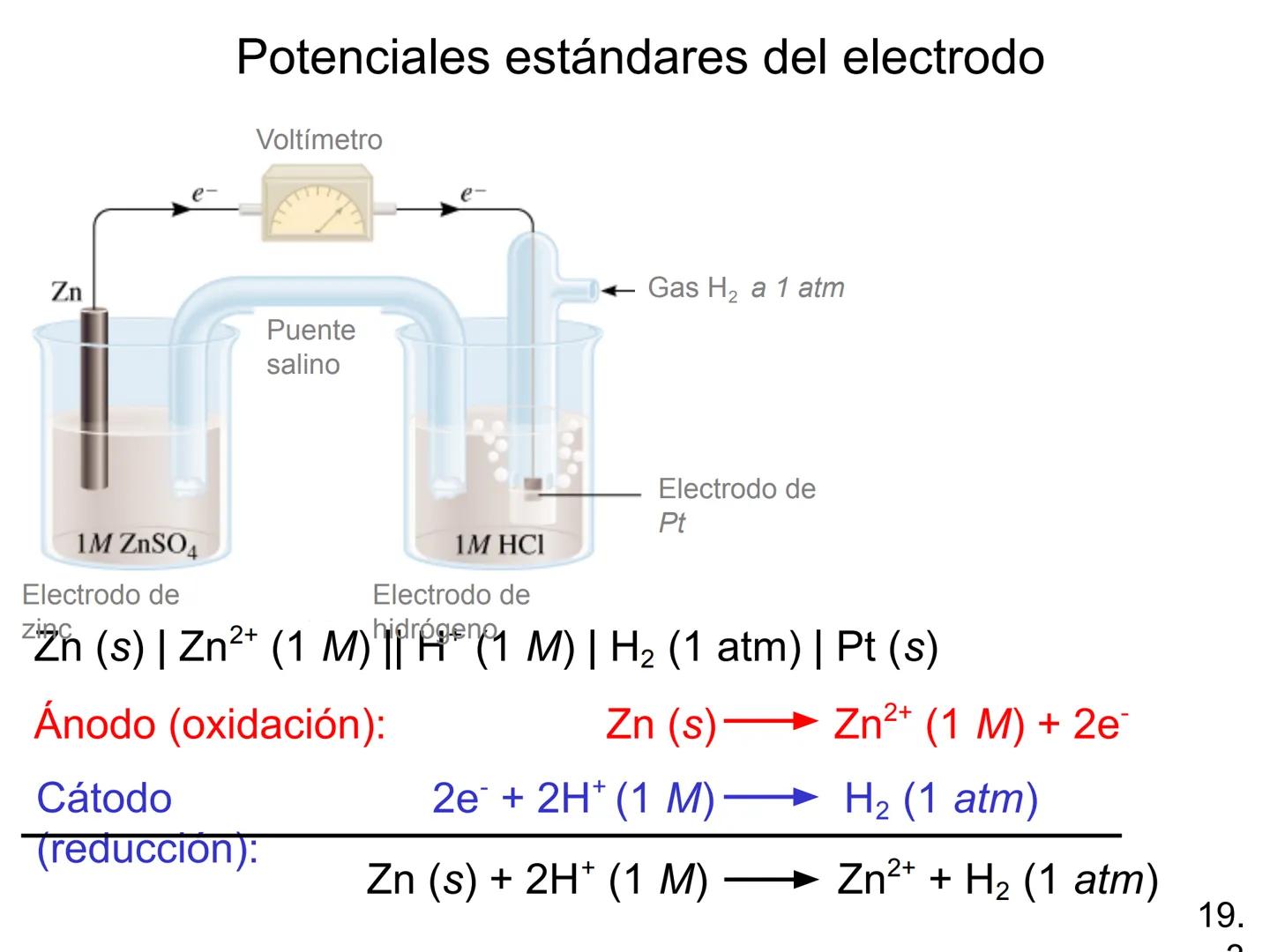 Electroquímica
Capítulo 19
Model SF-9016
Digital Meter
Meter
The mamatar
Copyright © The McGraw-Hill Companies, Inc. Permission required f