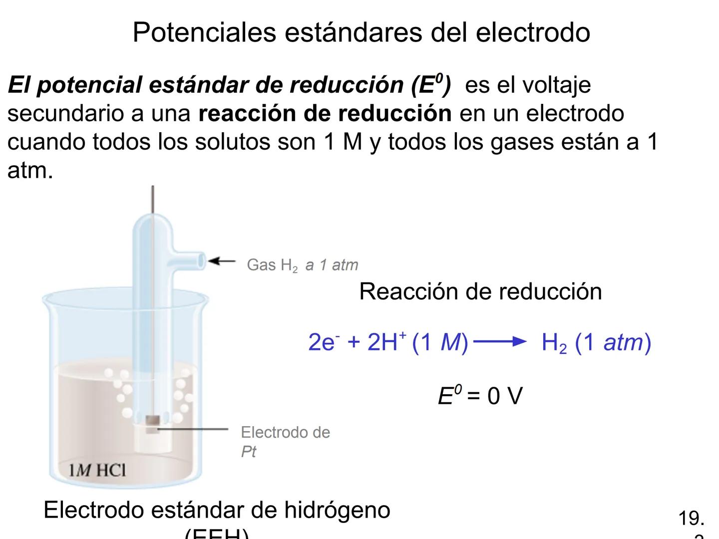 Electroquímica
Capítulo 19
Model SF-9016
Digital Meter
Meter
The mamatar
Copyright © The McGraw-Hill Companies, Inc. Permission required f