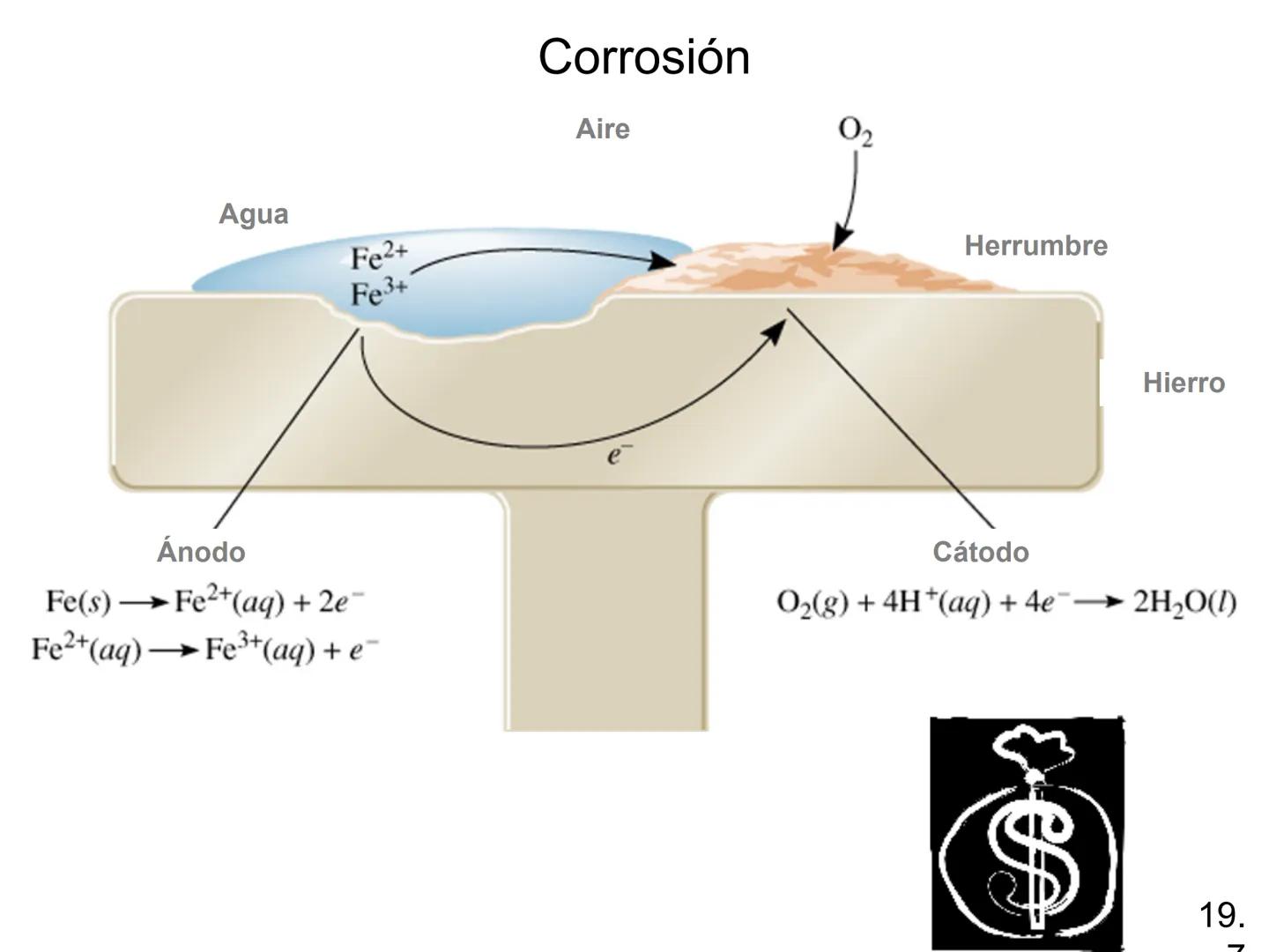 Electroquímica
Capítulo 19
Model SF-9016
Digital Meter
Meter
The mamatar
Copyright © The McGraw-Hill Companies, Inc. Permission required f