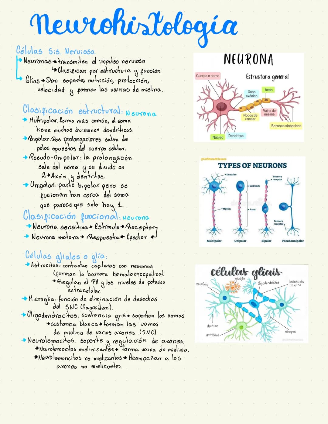 # Neurohistologia
Células Sis. Nervioso.
* Neuronas transmiten el impulso nervioso
* Clasifican por estructura y fonción.
* Glía