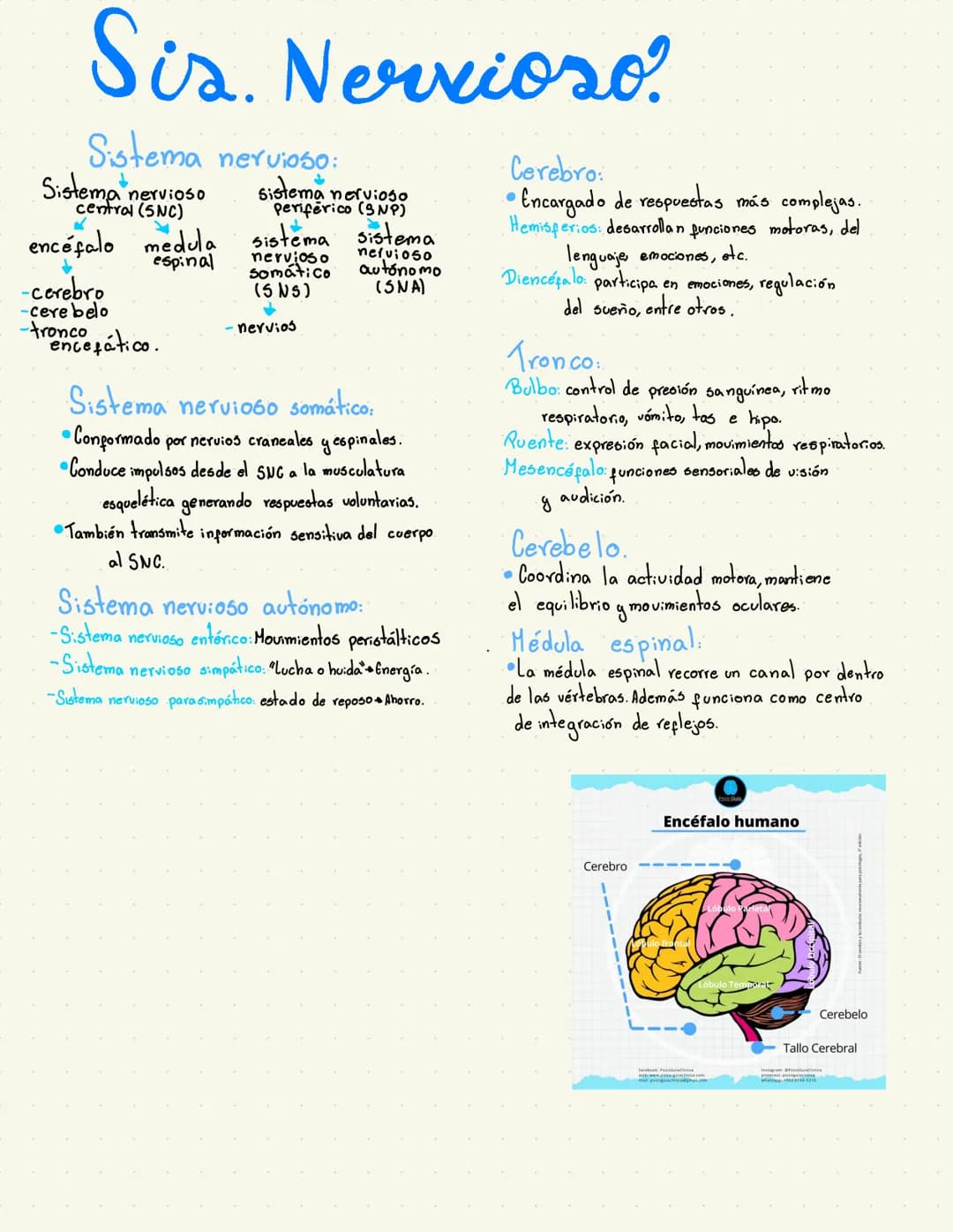 # Neurohistologia
Células Sis. Nervioso.
* Neuronas transmiten el impulso nervioso
* Clasifican por estructura y fonción.
* Glía