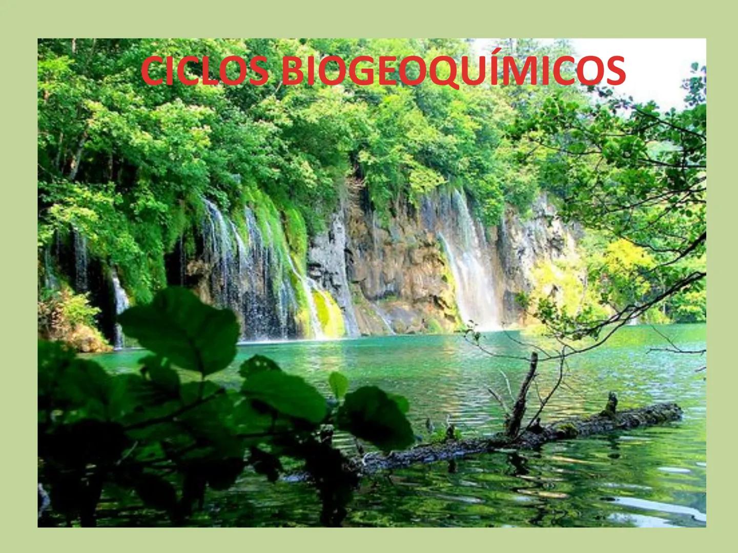 # CICLOS BIOGEOQUÍMICOS Se denomina ciclo biogeoquímico al movimiento de
cantidades masivas de carbono, nitrógeno, oxígeno,
hidrógeno, calci