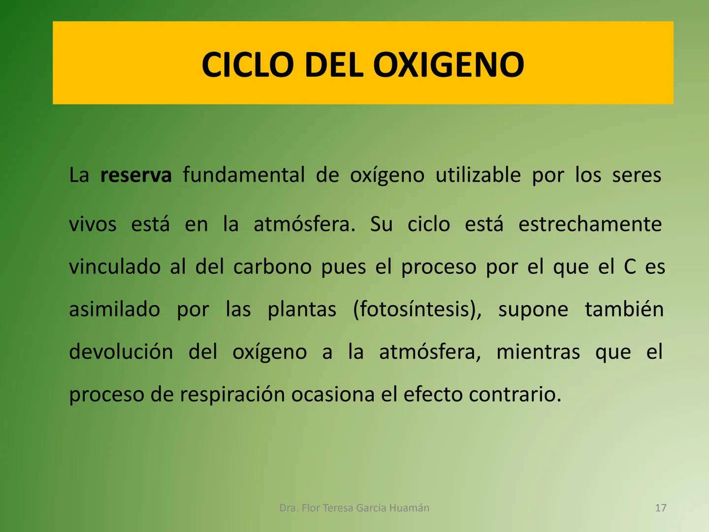 # CICLOS BIOGEOQUÍMICOS Se denomina ciclo biogeoquímico al movimiento de
cantidades masivas de carbono, nitrógeno, oxígeno,
hidrógeno, calci