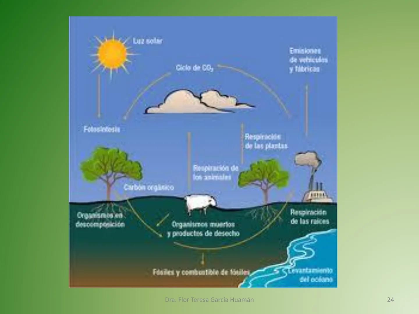 # CICLOS BIOGEOQUÍMICOS Se denomina ciclo biogeoquímico al movimiento de
cantidades masivas de carbono, nitrógeno, oxígeno,
hidrógeno, calci