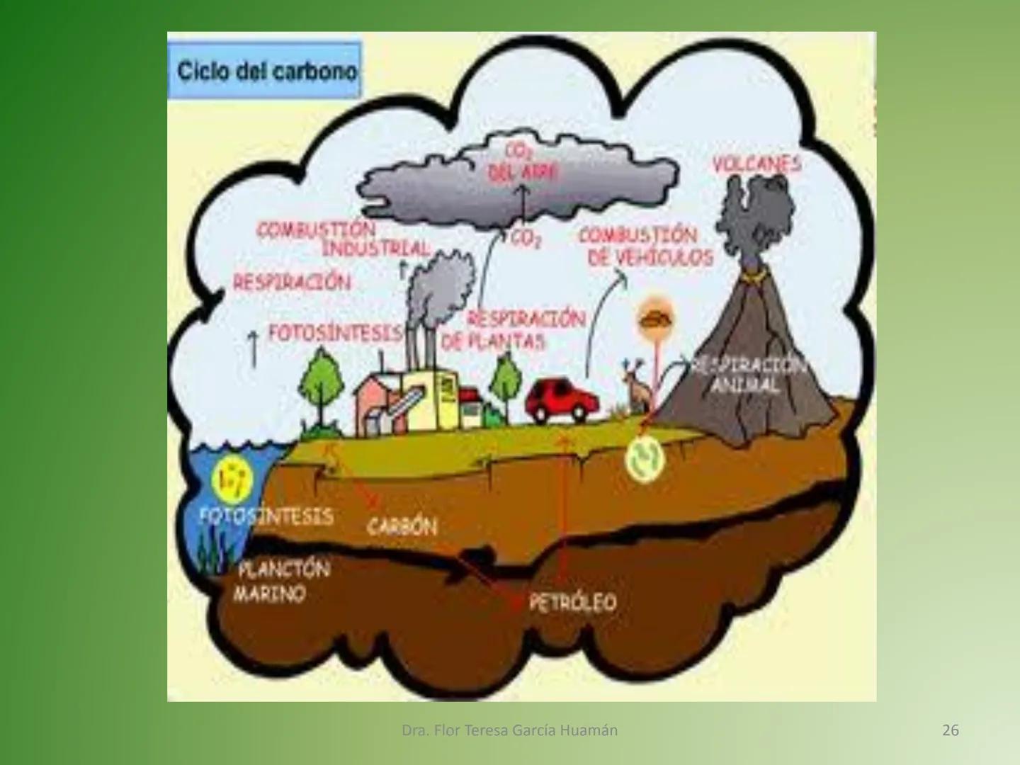 # CICLOS BIOGEOQUÍMICOS Se denomina ciclo biogeoquímico al movimiento de
cantidades masivas de carbono, nitrógeno, oxígeno,
hidrógeno, calci