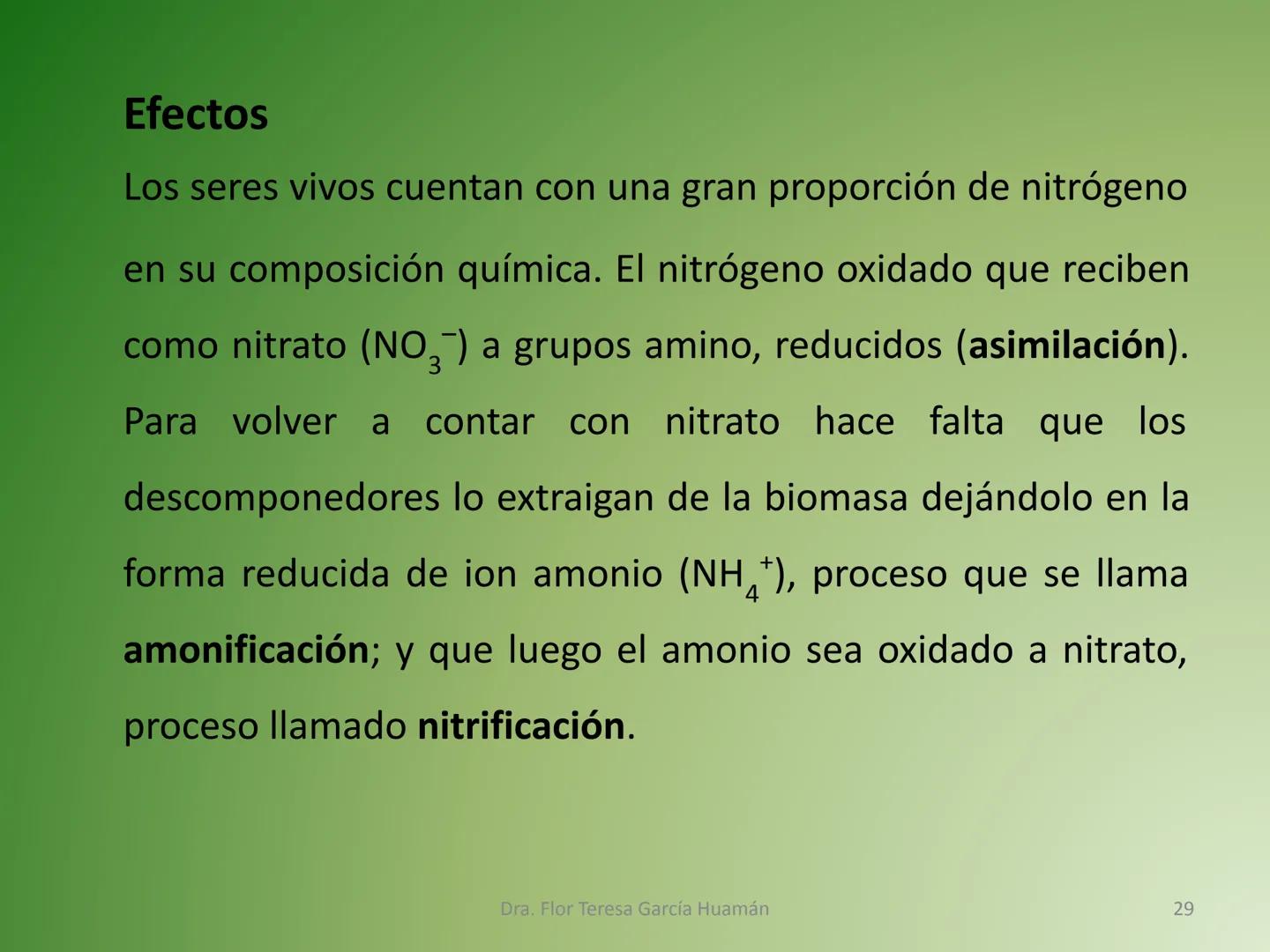 # CICLOS BIOGEOQUÍMICOS Se denomina ciclo biogeoquímico al movimiento de
cantidades masivas de carbono, nitrógeno, oxígeno,
hidrógeno, calci