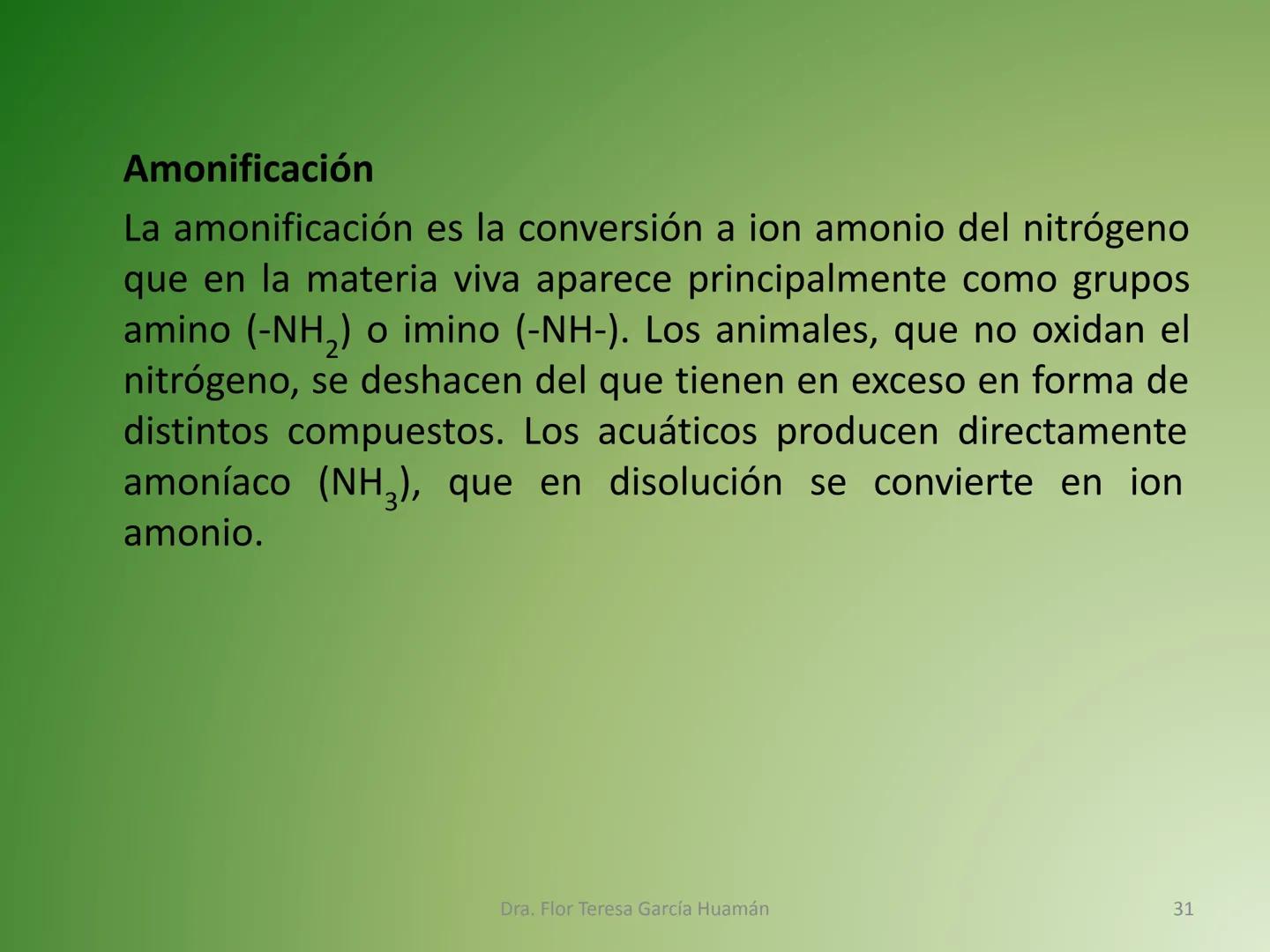 # CICLOS BIOGEOQUÍMICOS Se denomina ciclo biogeoquímico al movimiento de
cantidades masivas de carbono, nitrógeno, oxígeno,
hidrógeno, calci