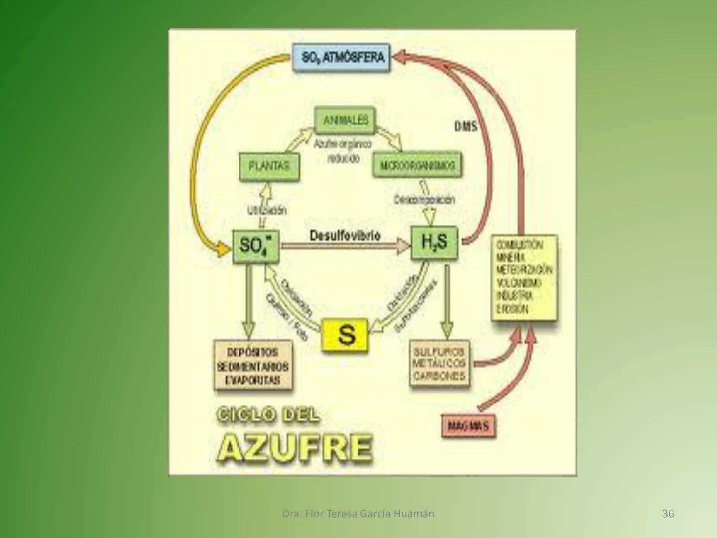 # CICLOS BIOGEOQUÍMICOS Se denomina ciclo biogeoquímico al movimiento de
cantidades masivas de carbono, nitrógeno, oxígeno,
hidrógeno, calci