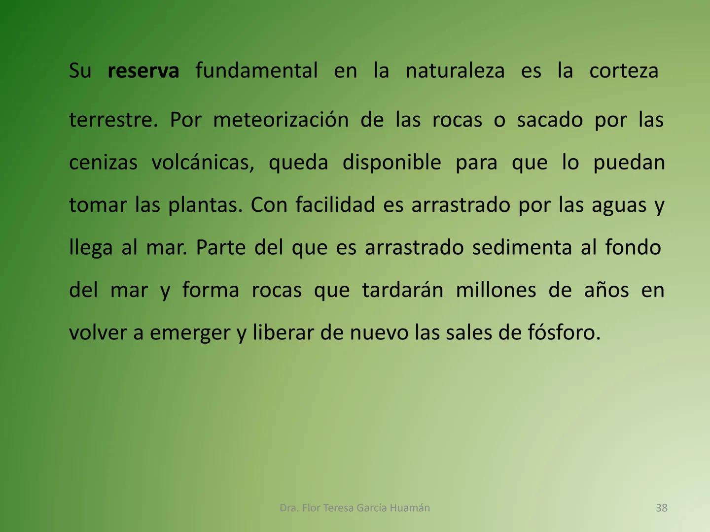 # CICLOS BIOGEOQUÍMICOS Se denomina ciclo biogeoquímico al movimiento de
cantidades masivas de carbono, nitrógeno, oxígeno,
hidrógeno, calci