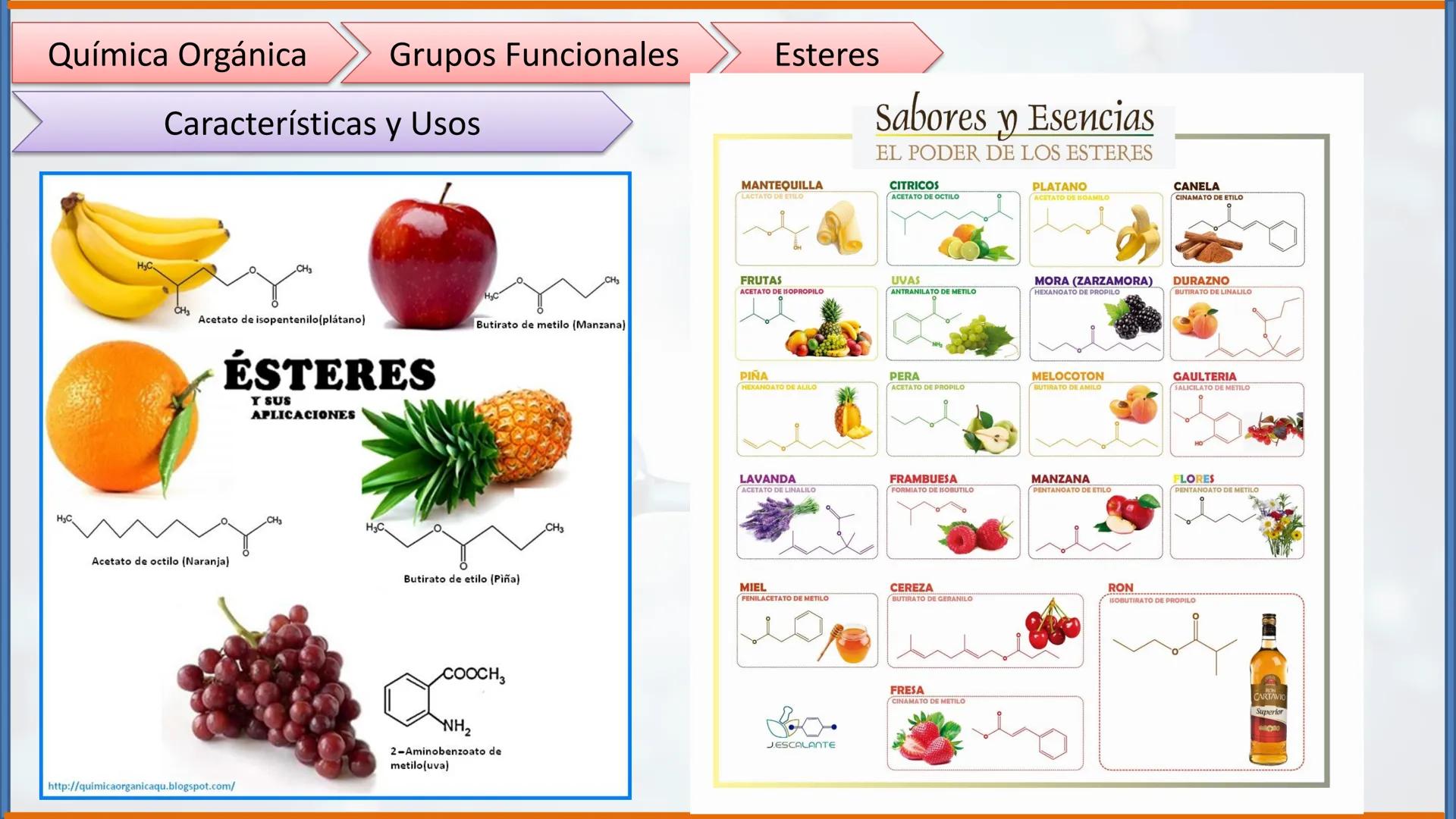 COLEGIO PALMARÉS ORIENTE
PROGRAMA DE APRENDIZAJE A DISTANCIA
PALMARES
COLEGIO
QUÍMICA ORGÁNICA II
Grupos Funcionales
CURSO: 2do medio
ASIGNA