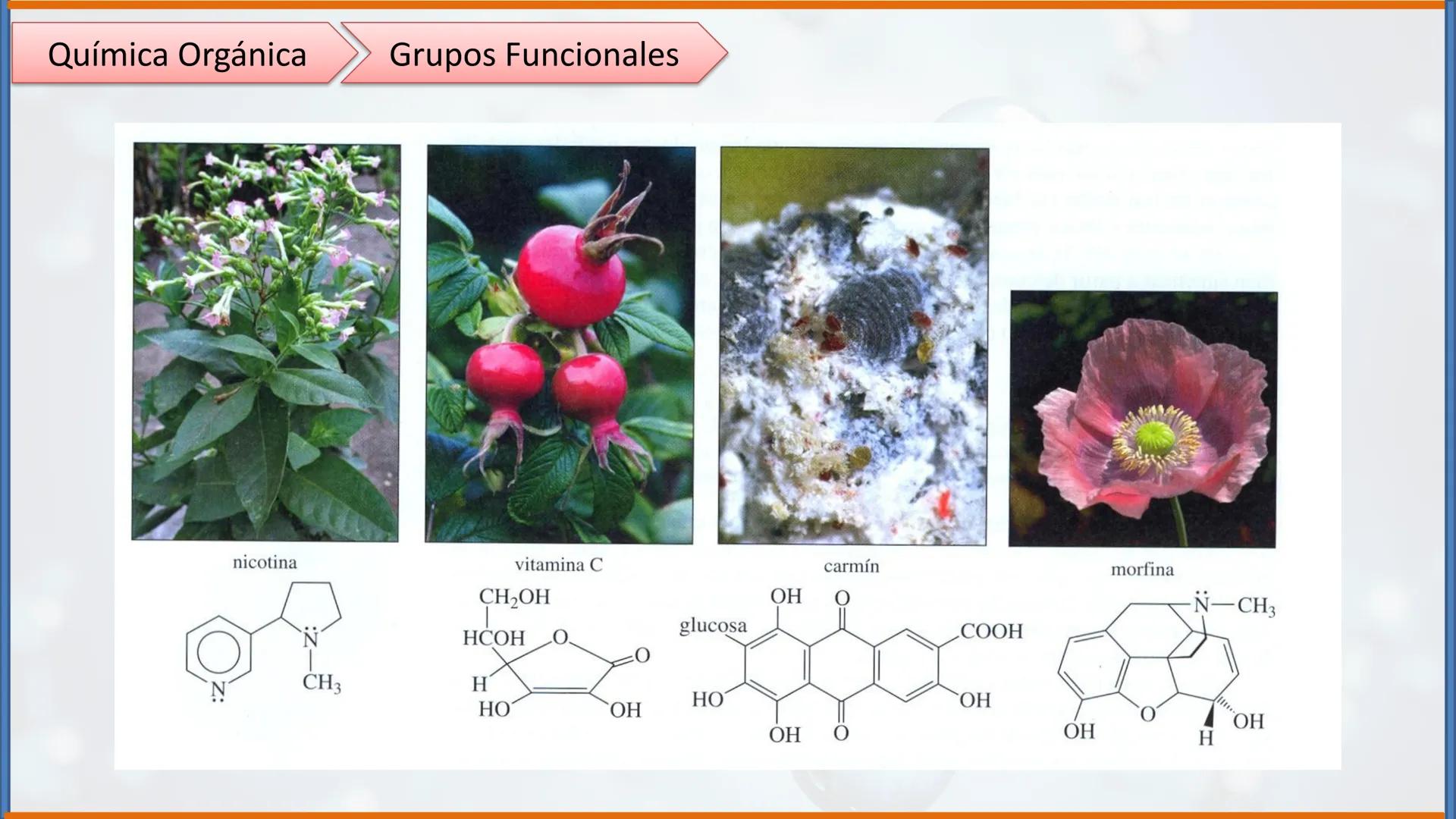 COLEGIO PALMARÉS ORIENTE
PROGRAMA DE APRENDIZAJE A DISTANCIA
PALMARES
COLEGIO
QUÍMICA ORGÁNICA II
Grupos Funcionales
CURSO: 2do medio
ASIGNA