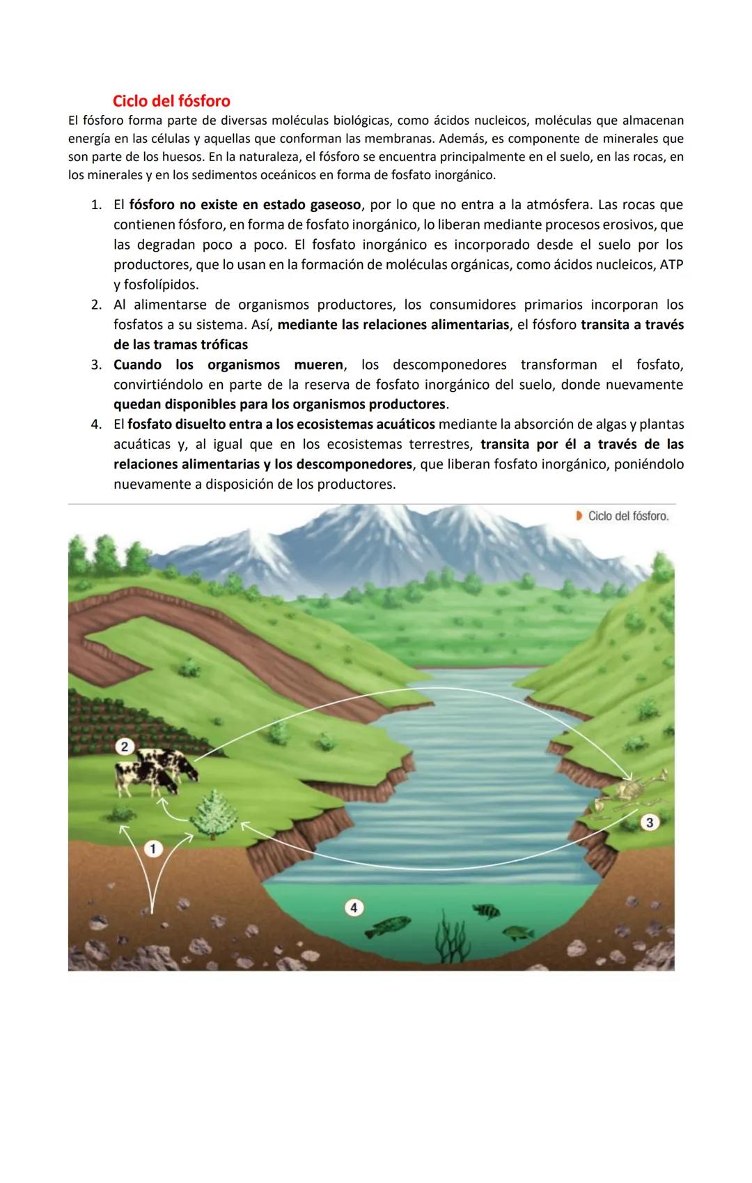 GUÍA DE CIENCIAS PARA LA CIUDADANÍA
Nombre:
Curso: 3 Medio A
Profesor (a): Claudia Vega Molina
Fecha: 20 de Noviembre 2025
OAC 03: Investi