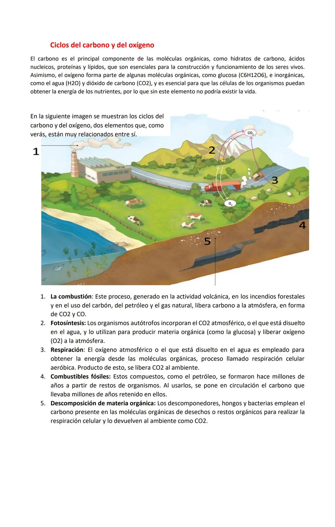 GUÍA DE CIENCIAS PARA LA CIUDADANÍA
Nombre:
Curso: 3 Medio A
Profesor (a): Claudia Vega Molina
Fecha: 20 de Noviembre 2025
OAC 03: Investi