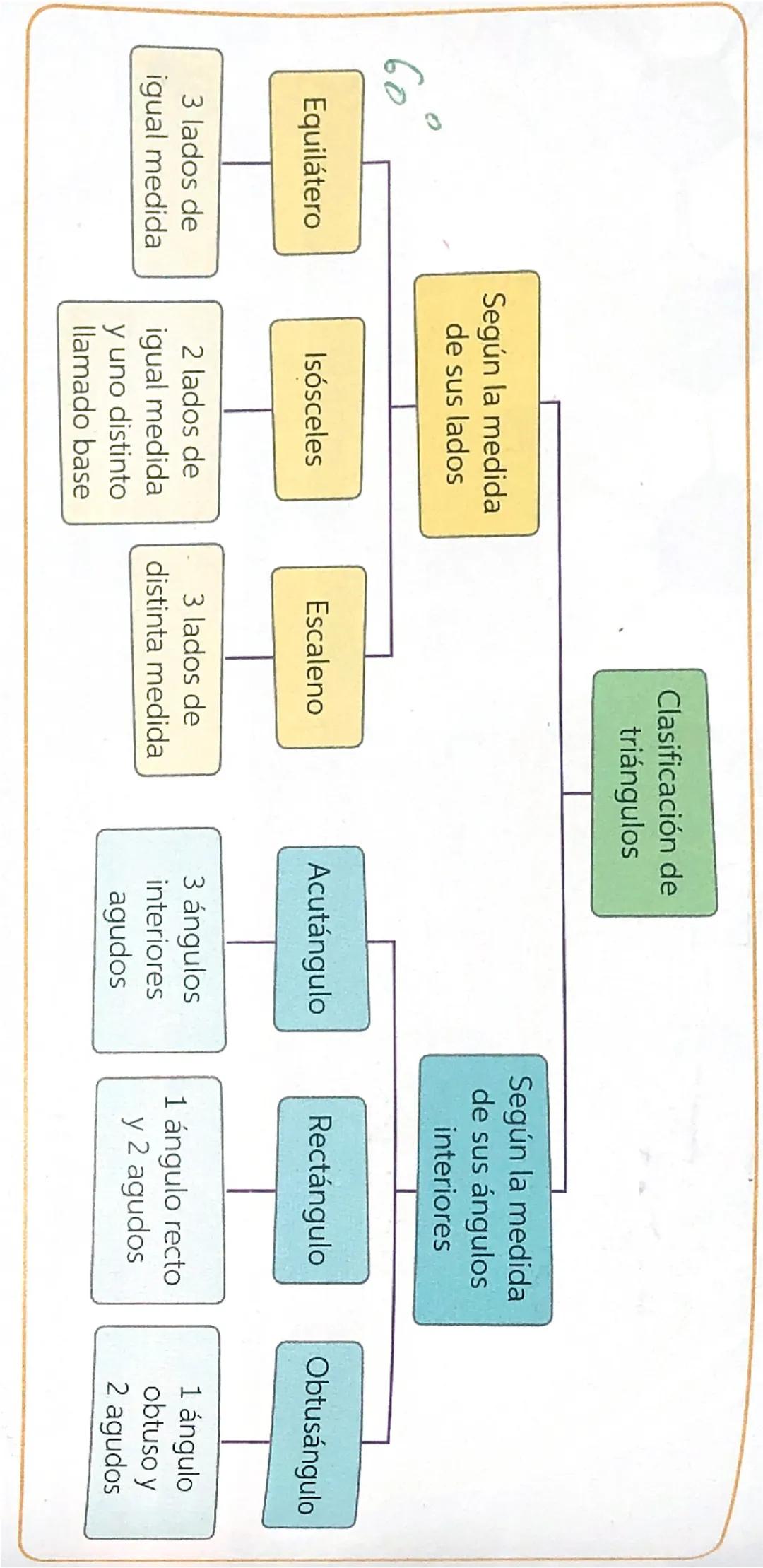 Según la medida
de sus lados
Clasificación de
triángulos
Según la medida
de sus ángulos
interiores
60
Equilátero
Isósceles
Escaleno
A