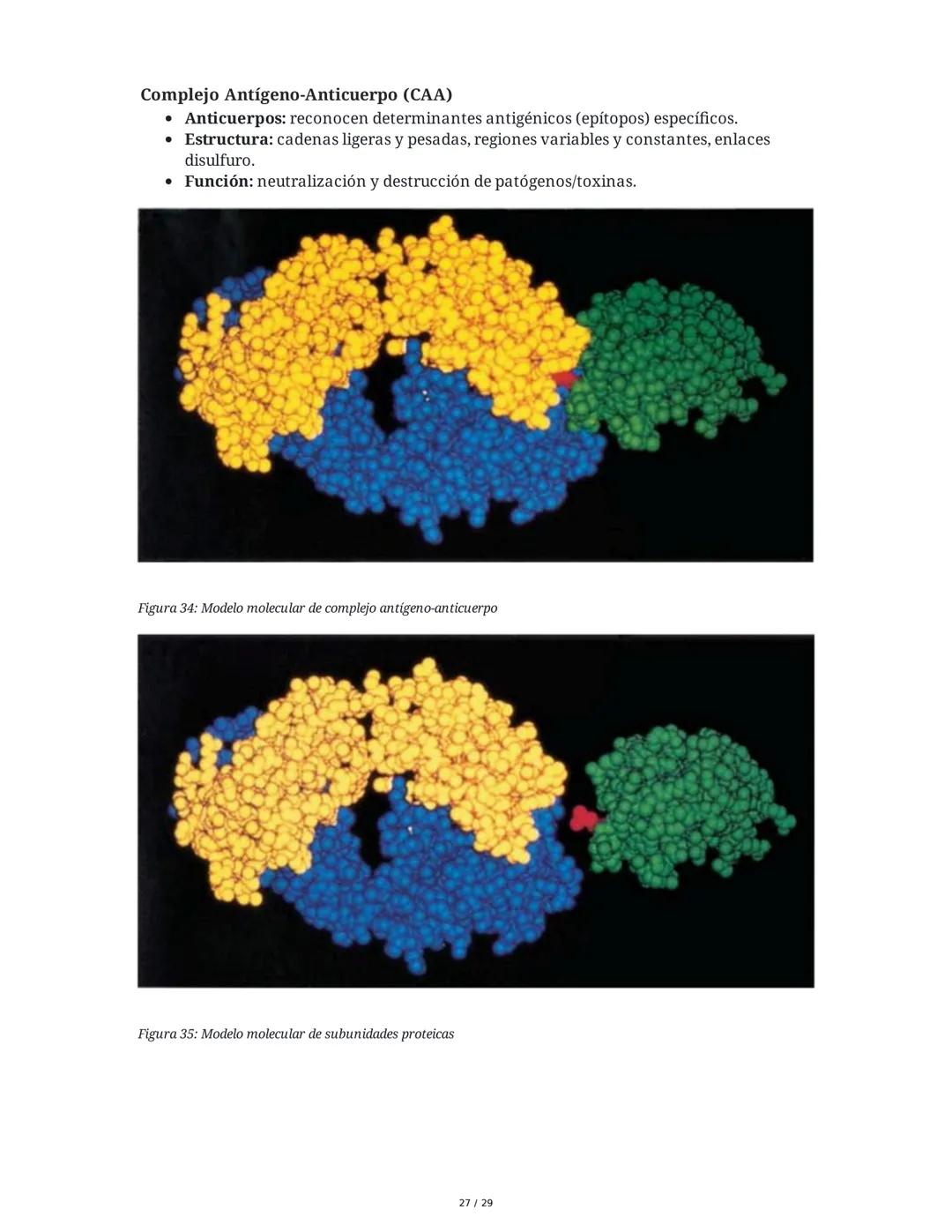 Sistema Inmunitario - Resumen Integral
1. Introducción a los Microorganismos y Virus
Los microorganismos son organismos celulares visibles s