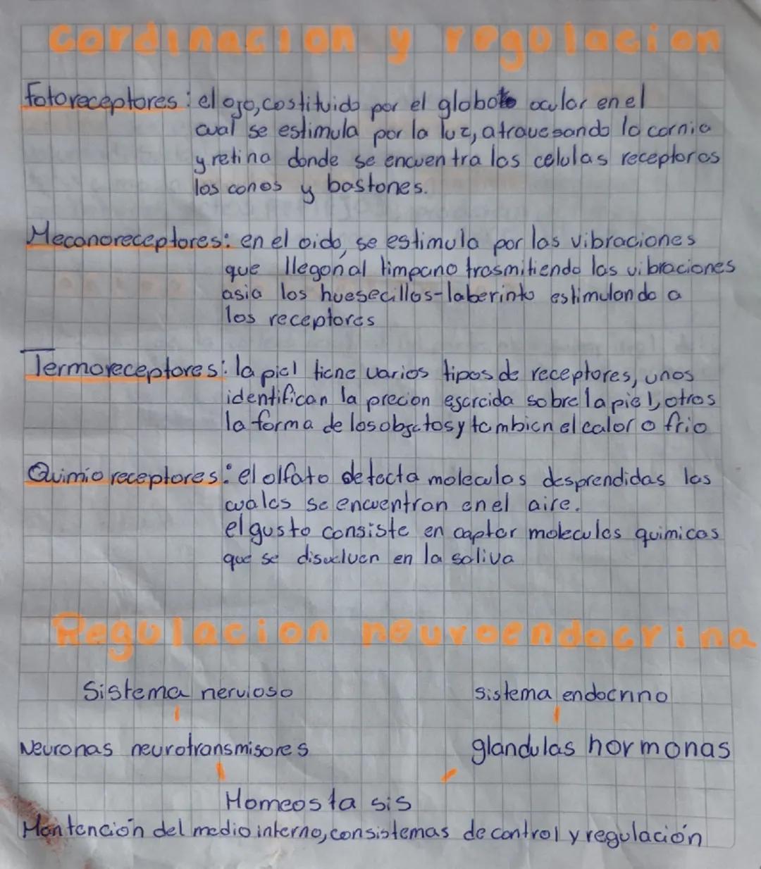 Biología 2medio neurona