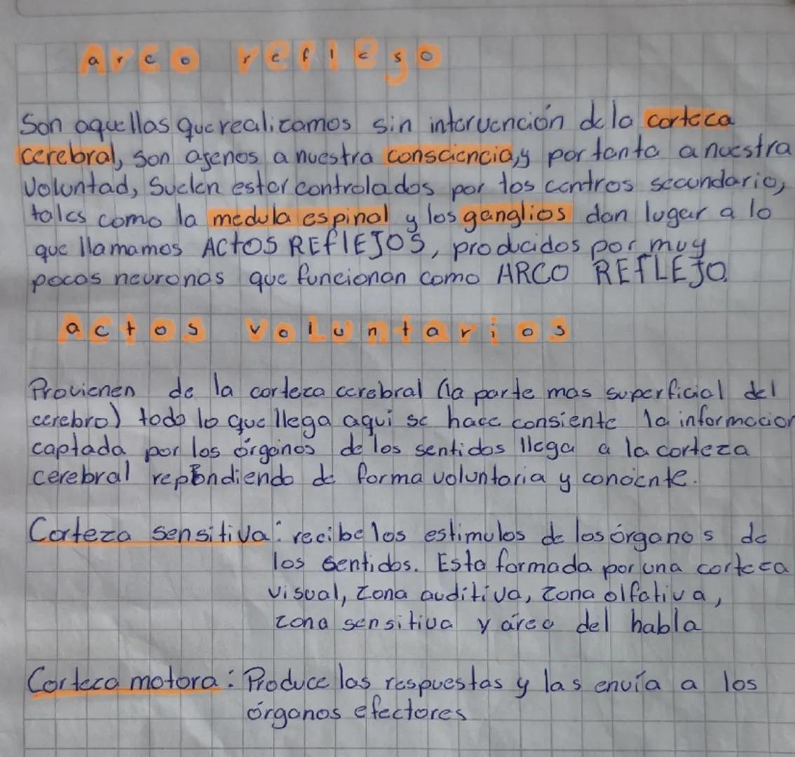 Fotoreceptores: el ojo, costituido por el globoto oculor enel
cual se estimula por la luz, atravesando lo cornia
yretina donde se encuentra