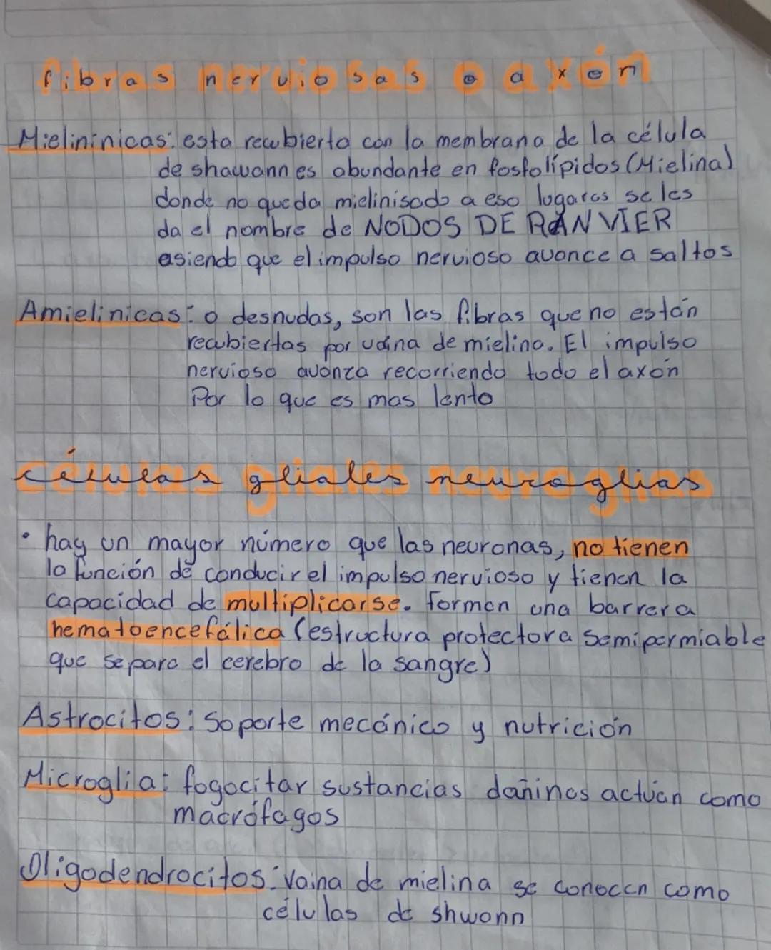 Fotoreceptores: el ojo, costituido por el globoto oculor enel
cual se estimula por la luz, atravesando lo cornia
yretina donde se encuentra