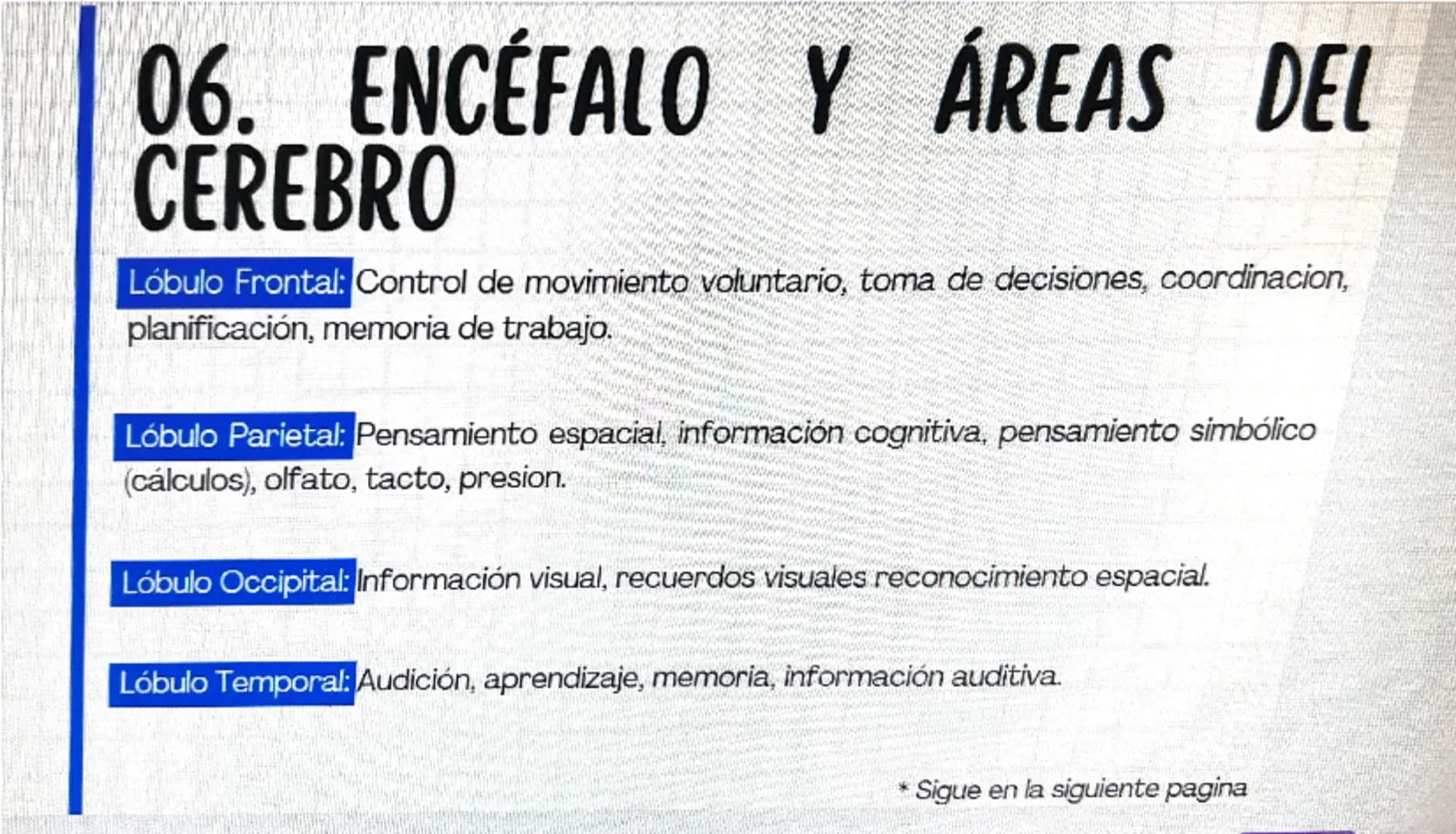 # 01. RESPUESTA A ESTÍMULOS
¿Qué es un estimulo? R: Un estímulo es cualquier cambio o señal en el ambiente interno
o externo de un organism